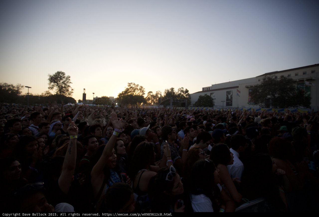Massive Festival Crowd