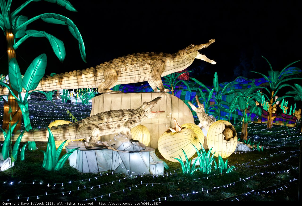 Glowing Night at Oakland Zoo