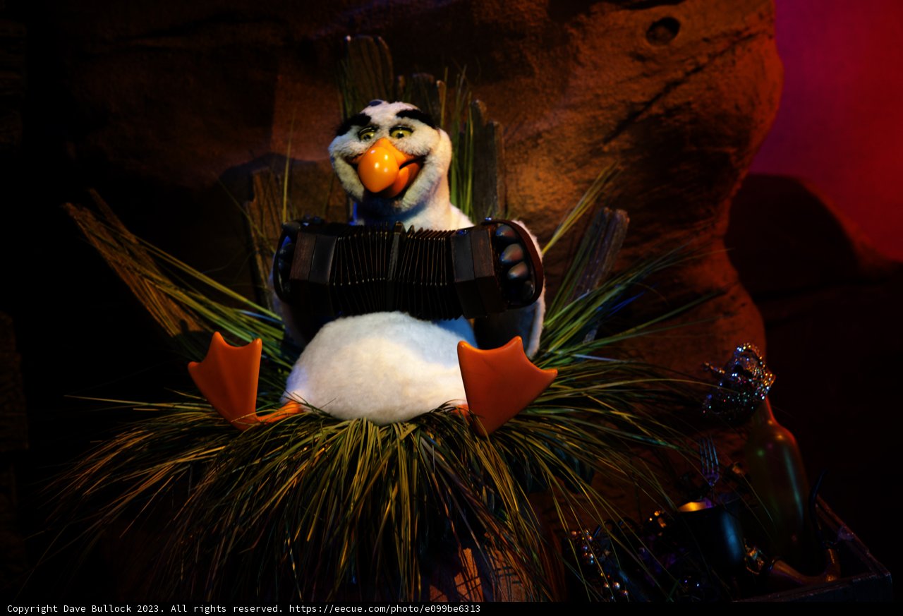 Rockin' Bird Buddy at Disneyland