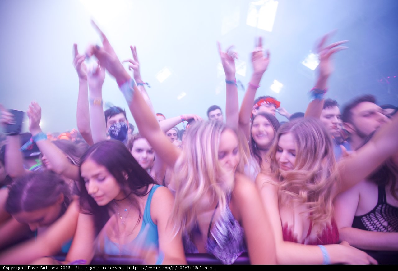 Hands Up at Coachella