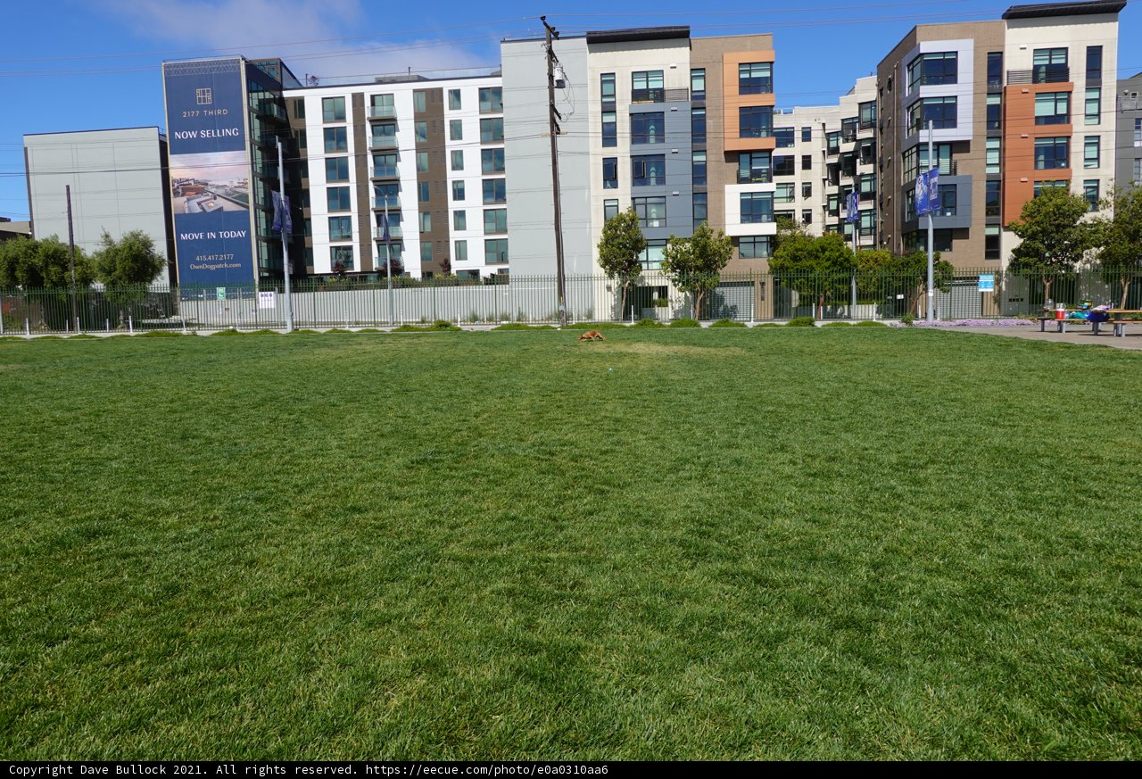 Urban Oasis