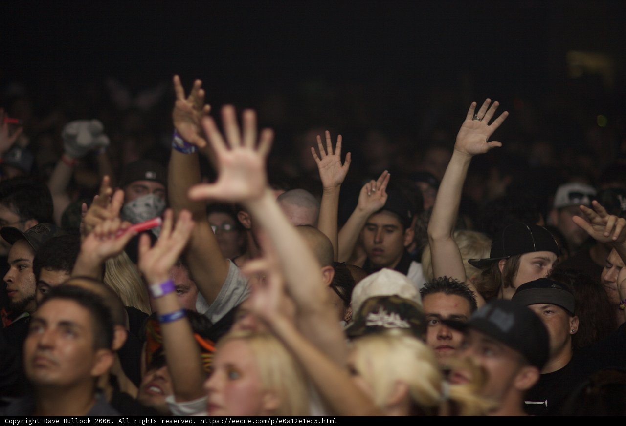 Urban Concert Crowd