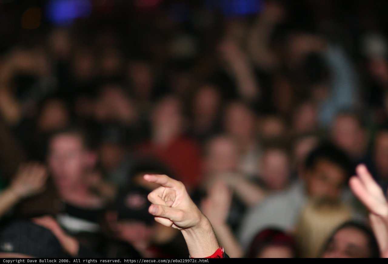 Capturing the Crowd