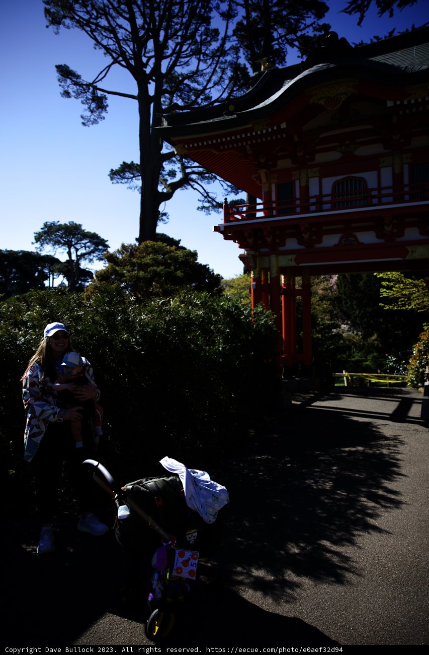 Serene Stroll in the Japanese Tea Garden