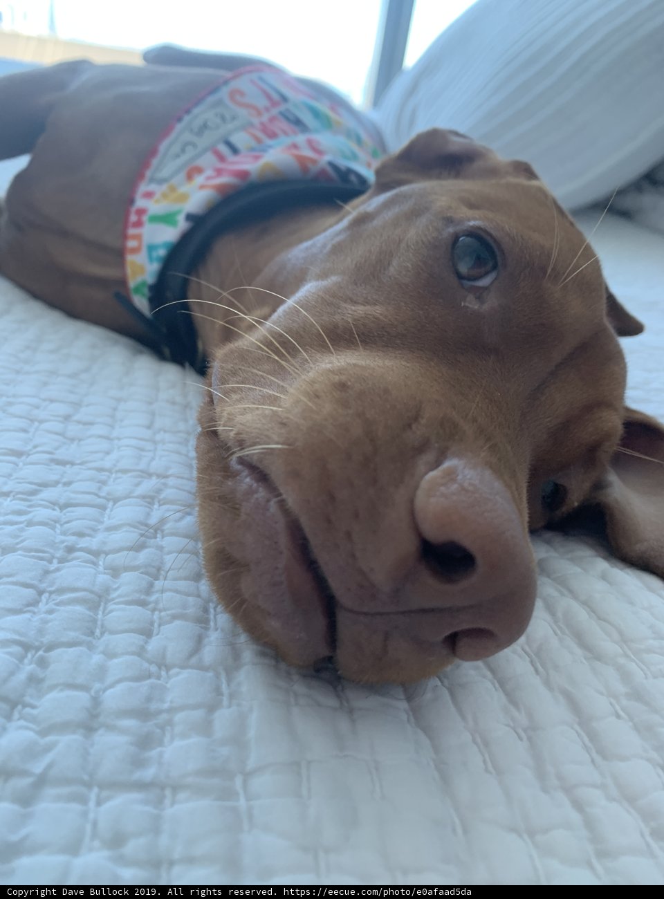 Rest and Relaxation