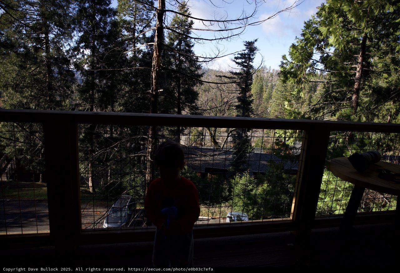 Shadowy Forest View from Mountain Deck at Dusk