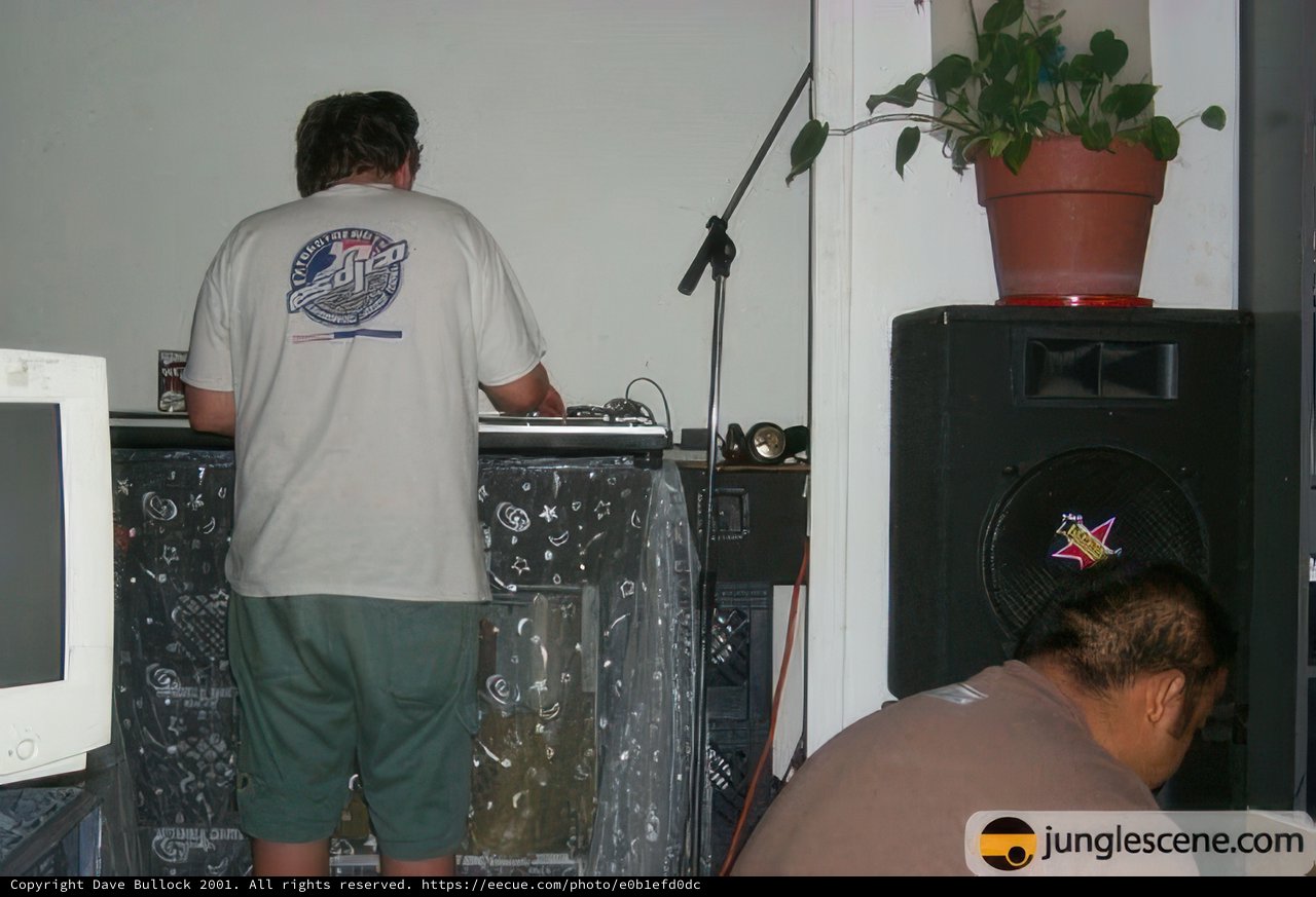 DJ Set in the JungleScene