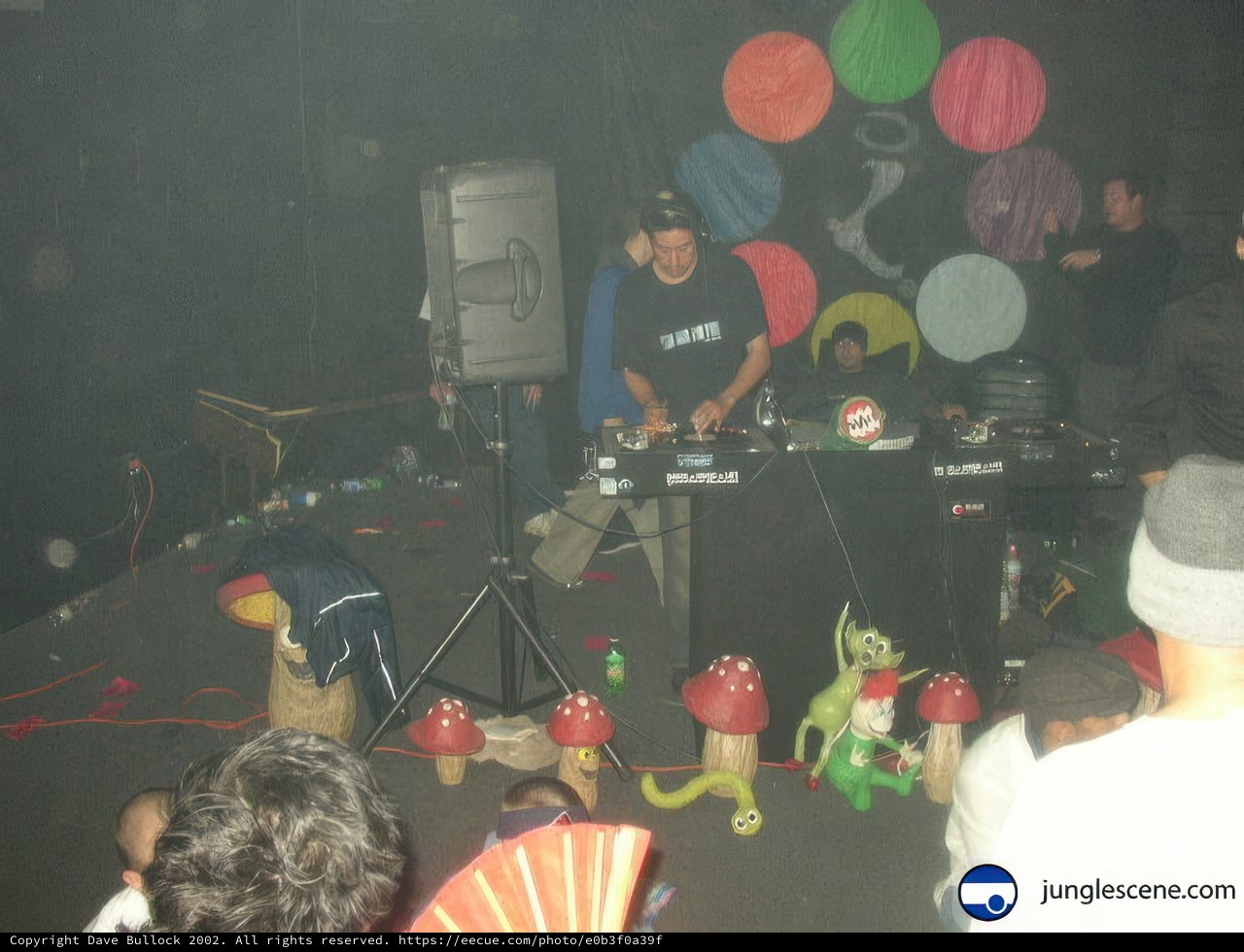 DJ Energizing the Crowd