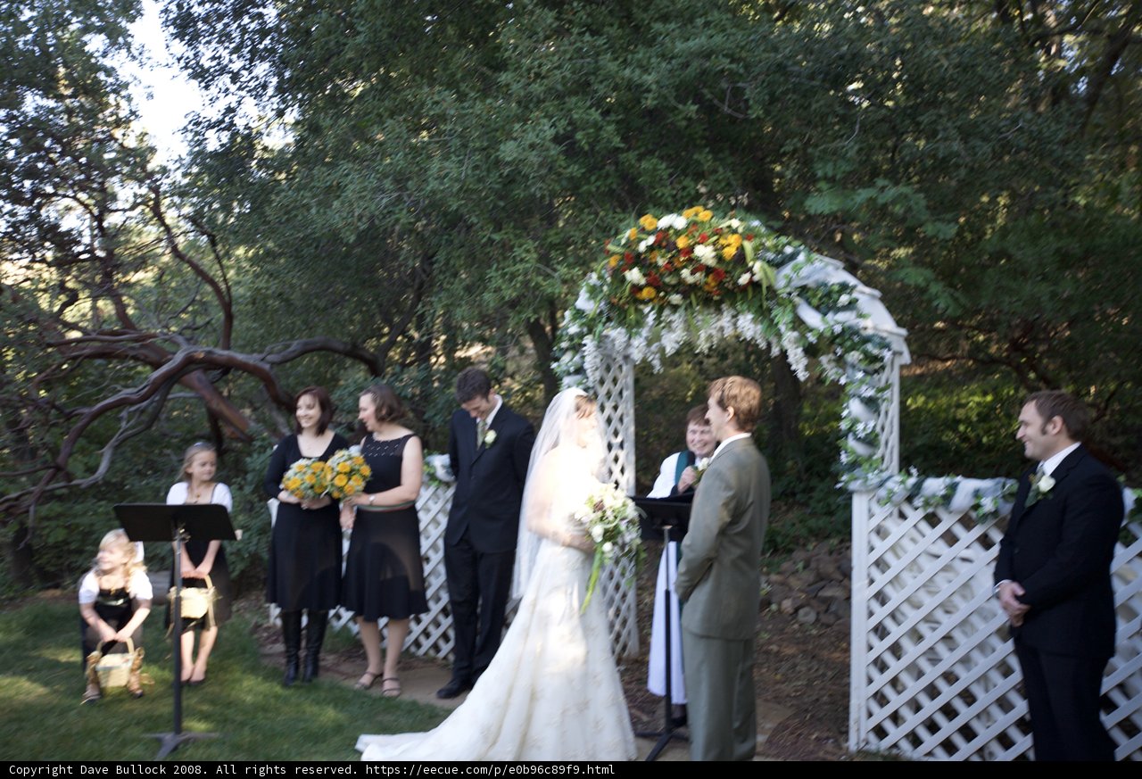 A Beautiful Backyard Wedding