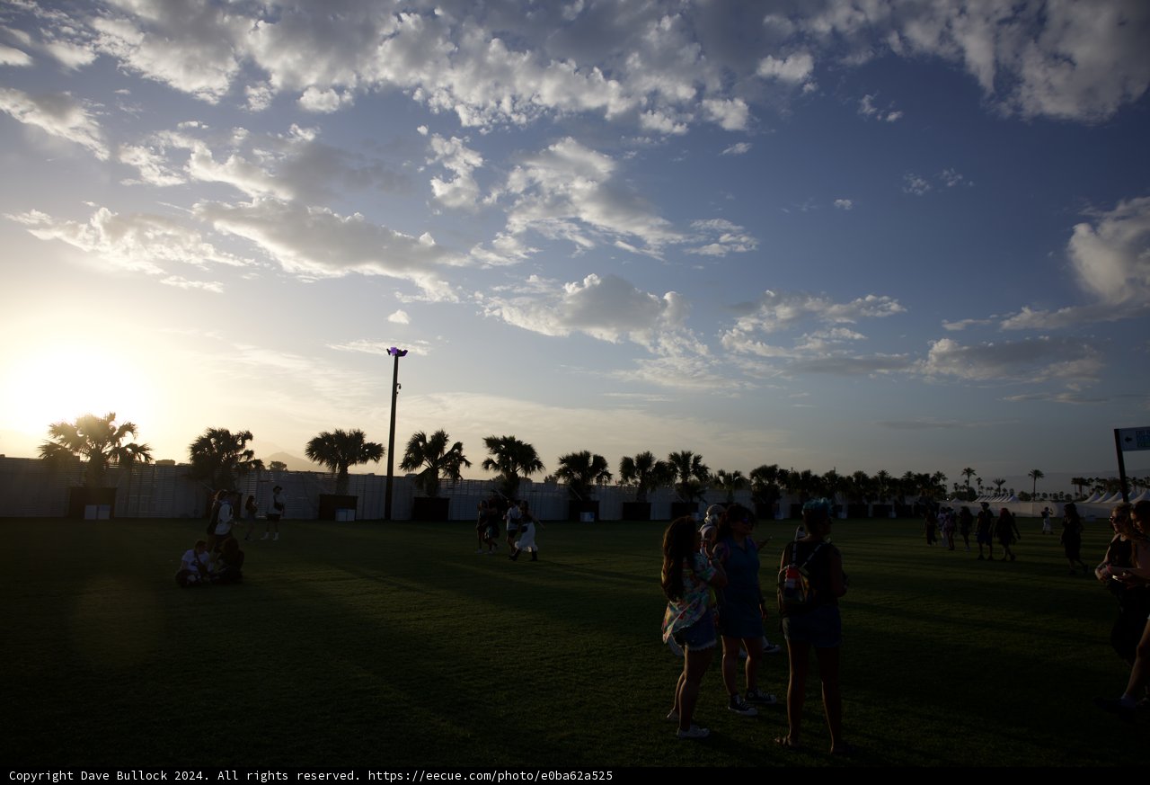Sunset Silhouettes at Coachella 2024