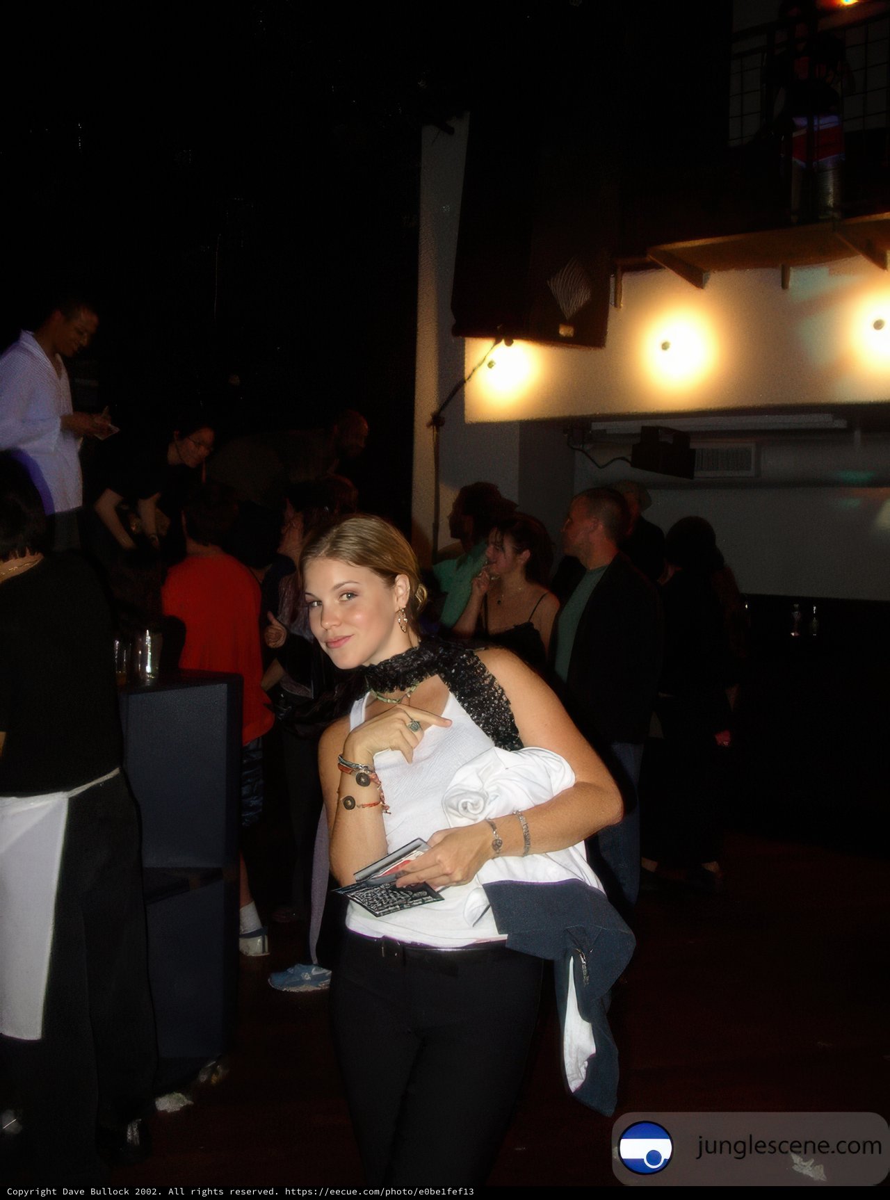 Night Club Gathering