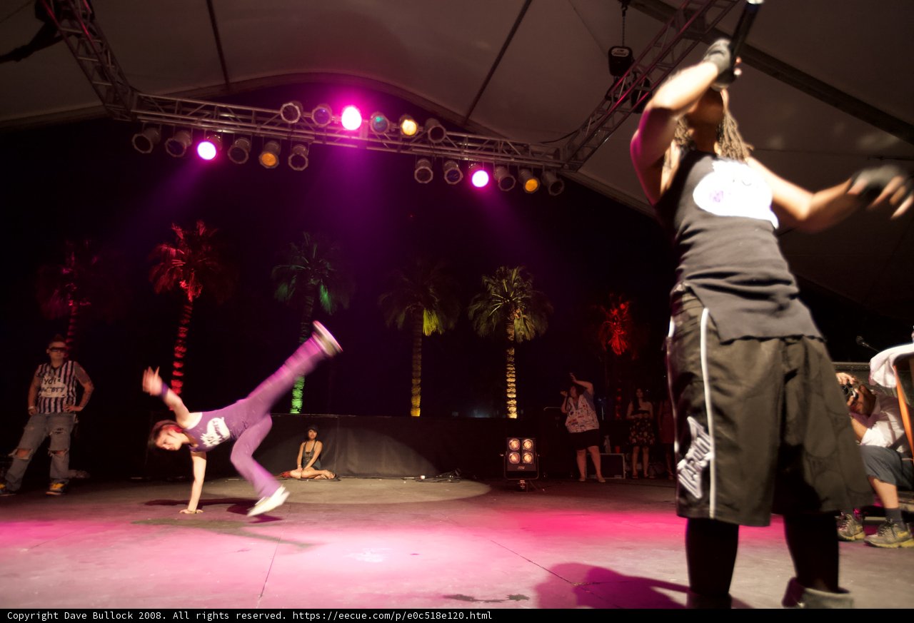 Spotlight on the Circus Performer