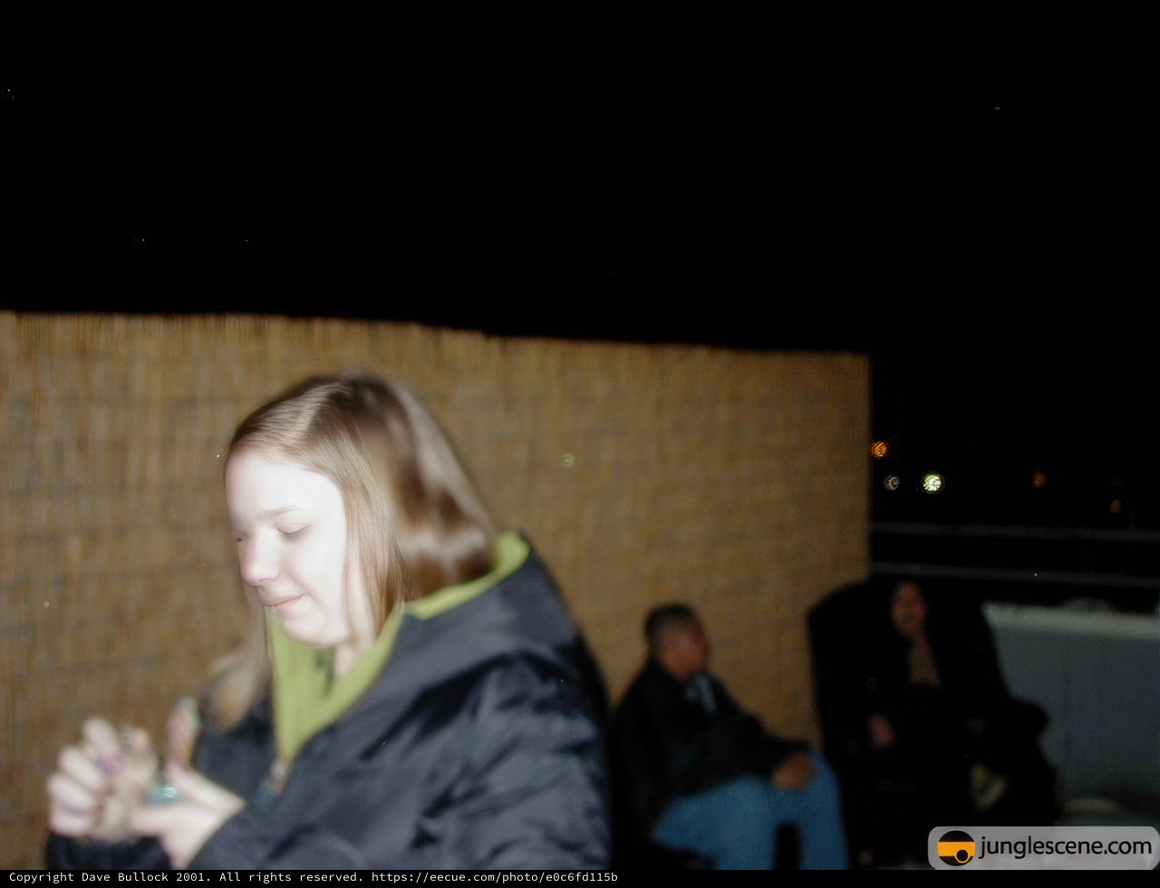 Nighttime group portrait