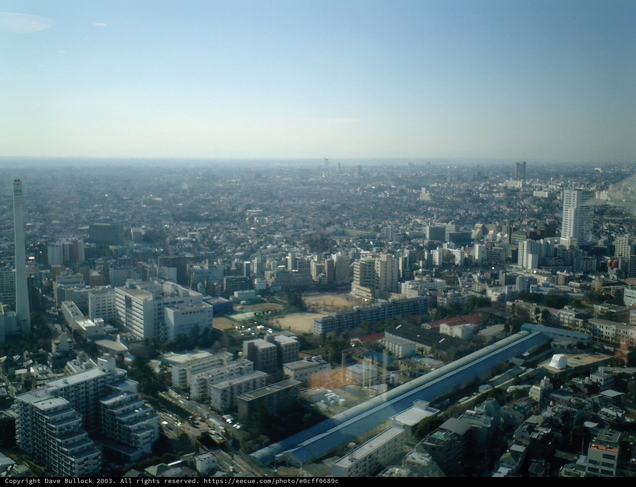 Overlooking Tokyo from the Government Building