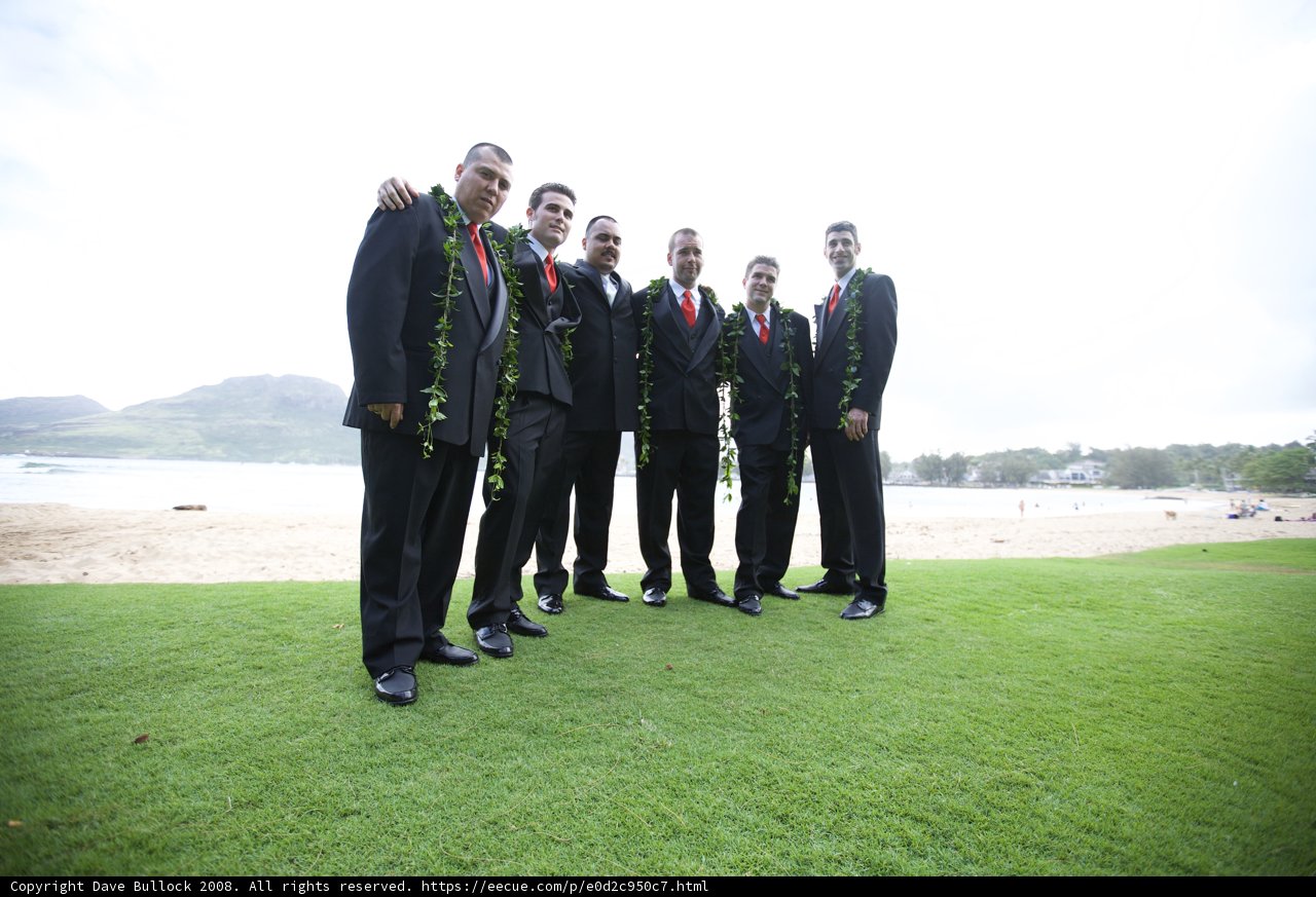 The Suits on the Grass