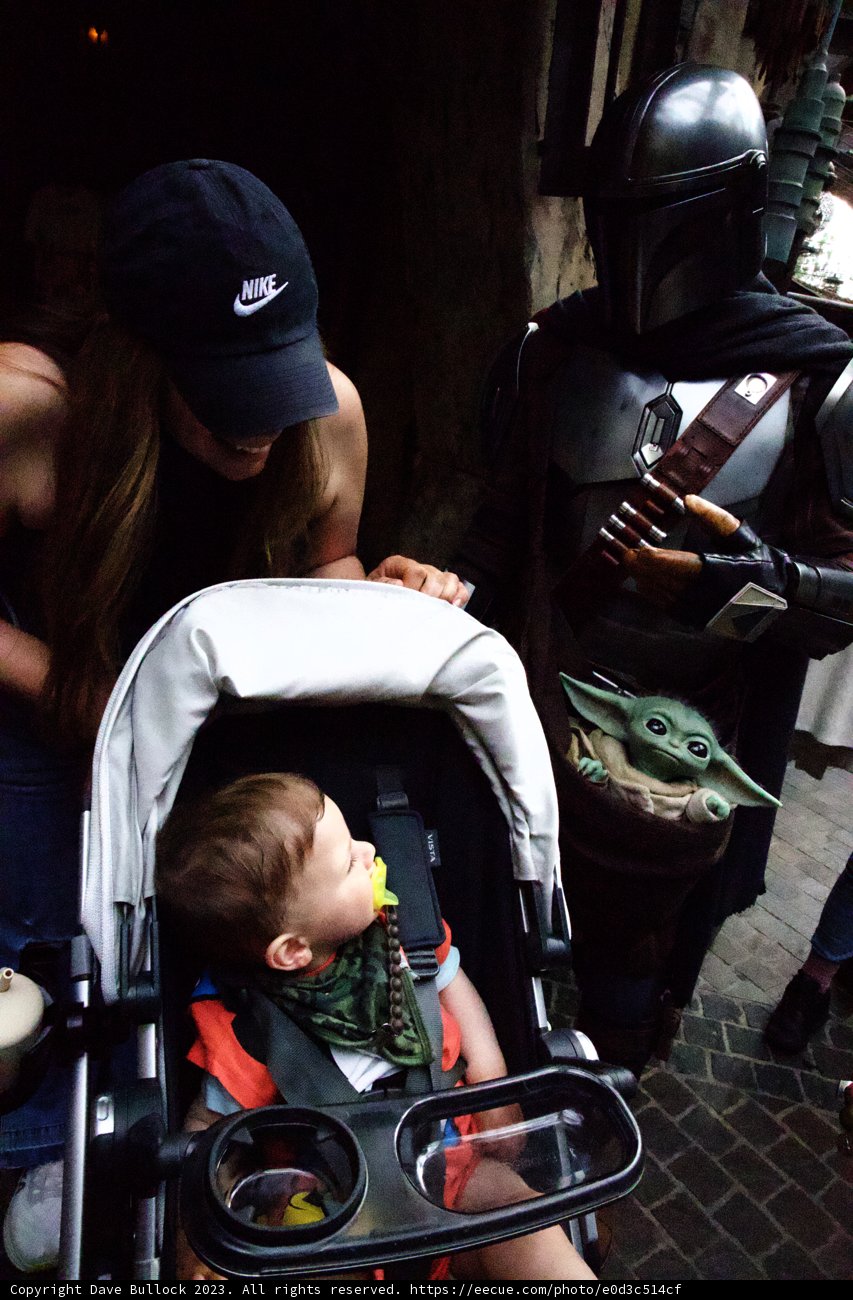 Family Fun Time at Disneyland