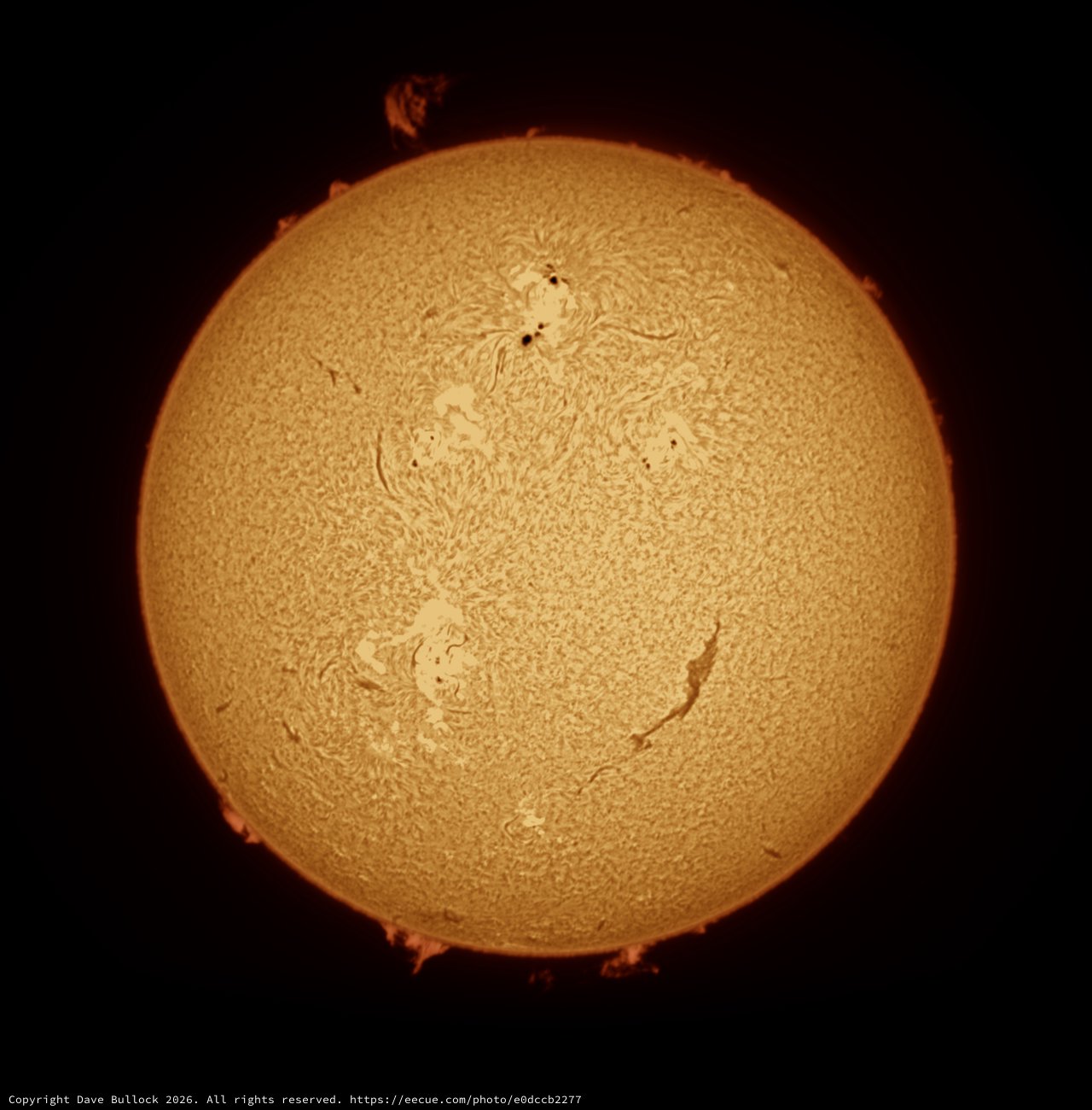 The Sun in Hydrogen-Alpha: Full Solar Disk 2026