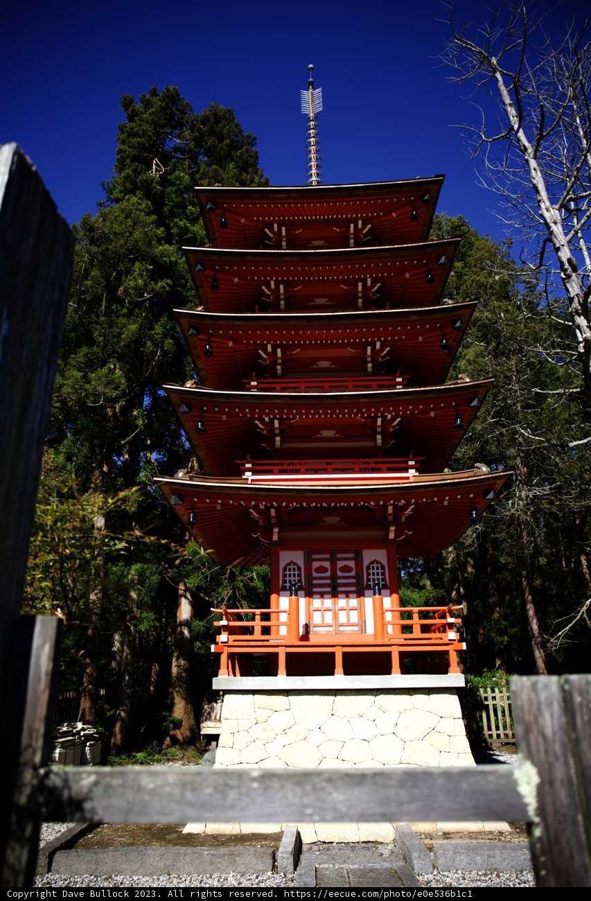 Majestic Red Pagoda in the Japanese Tea Garden
