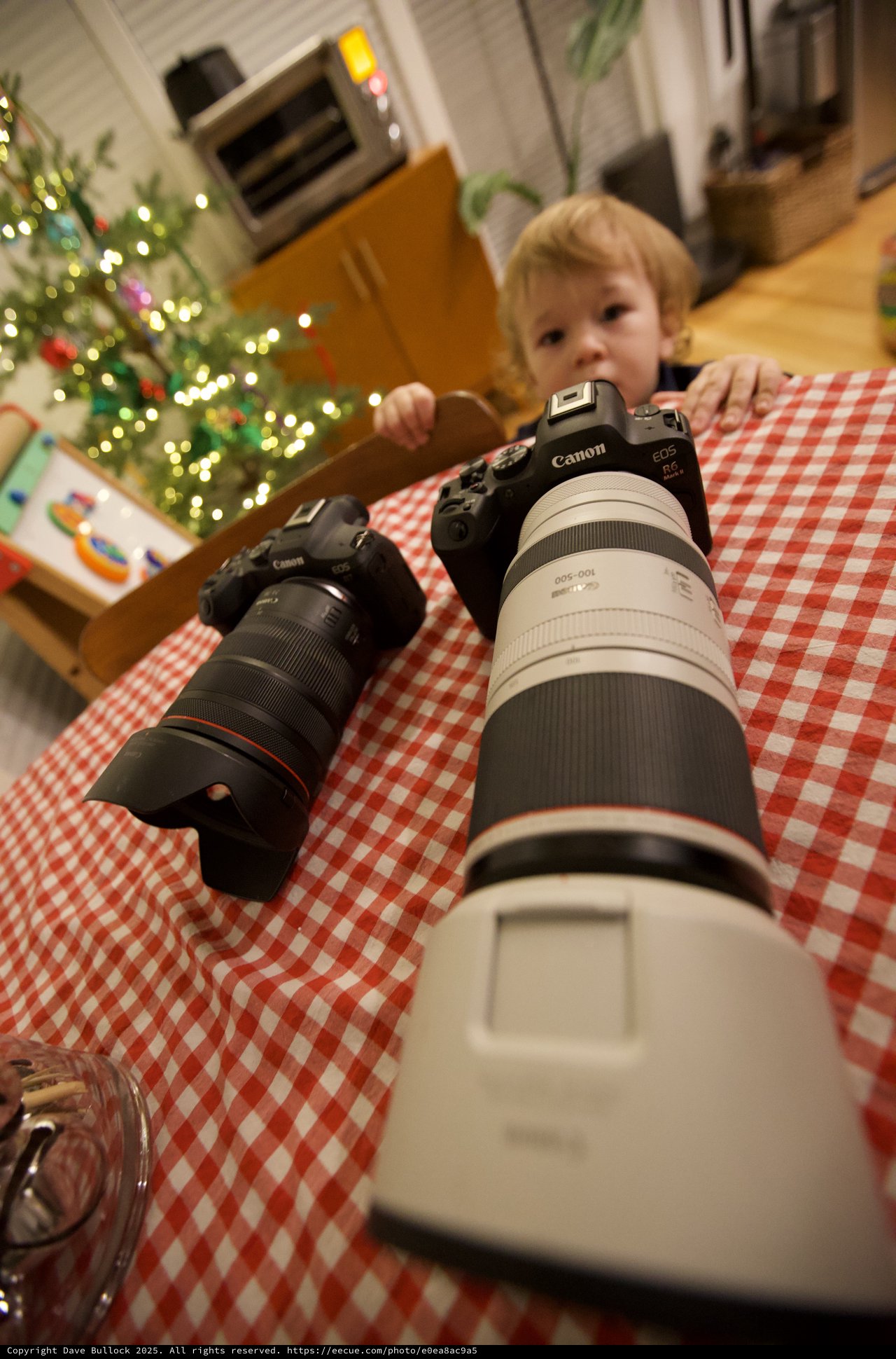 Young Child with Professional Canon Cameras at Christmas