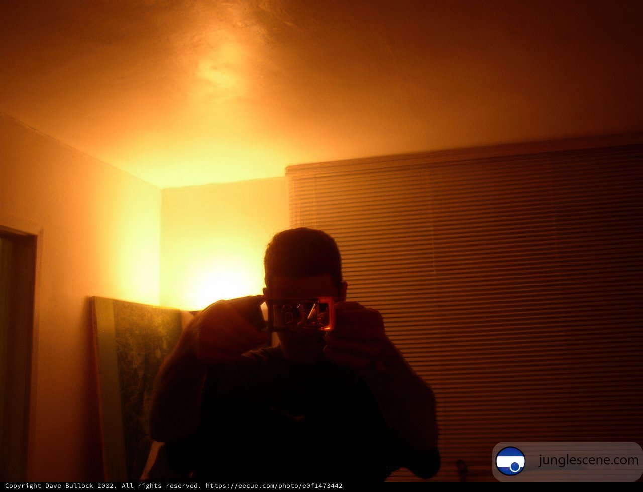 Selfie in the Dark