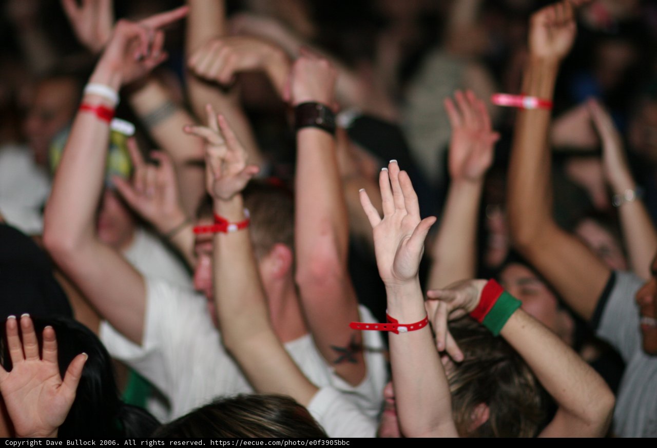 A Sea of Faces at a Wedding Concert