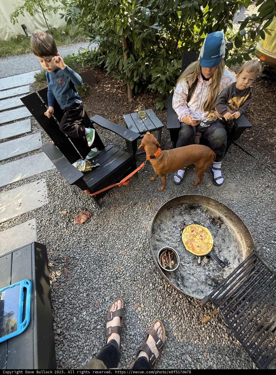 Morning Moments in Guerneville