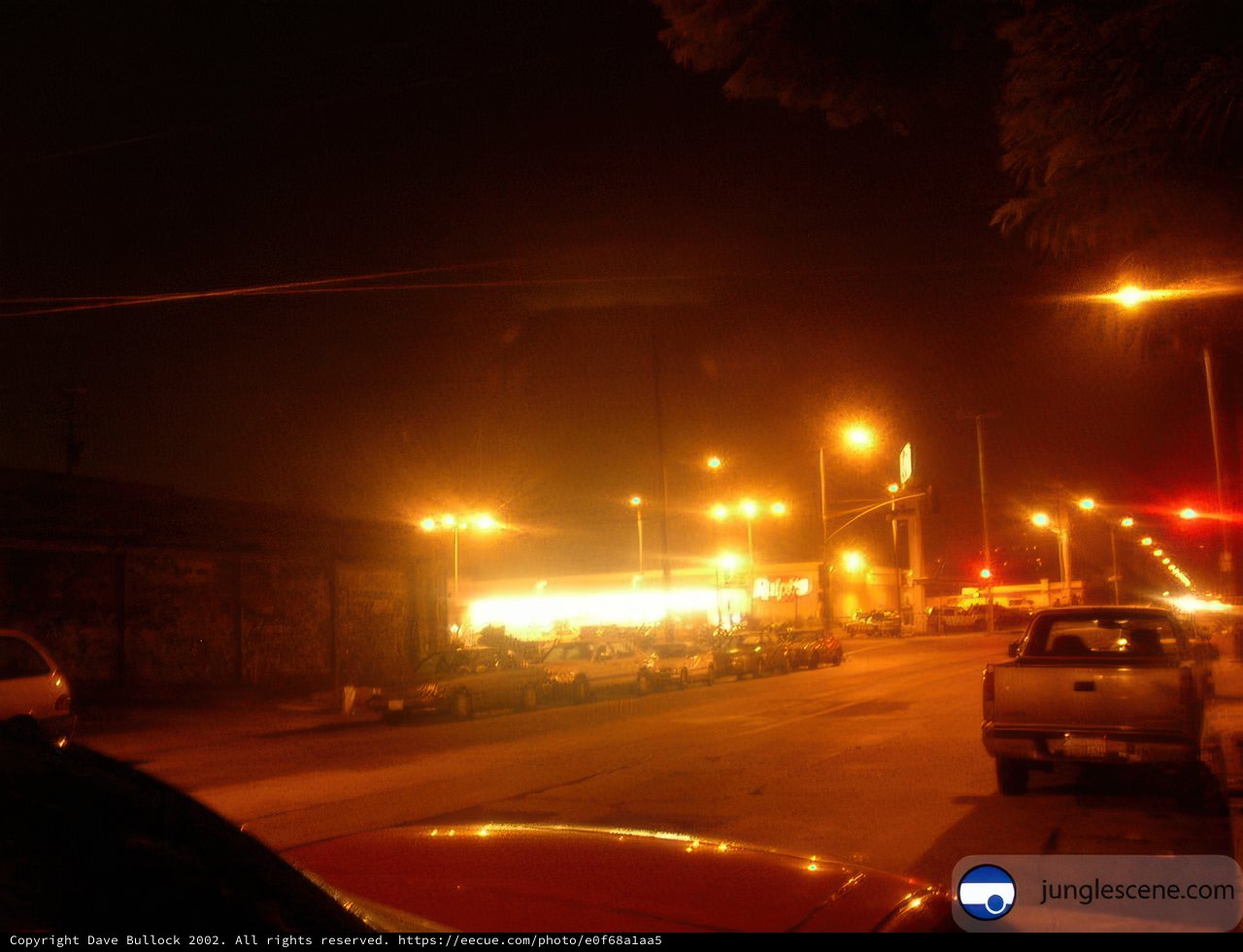 Busy Night on the City Street
