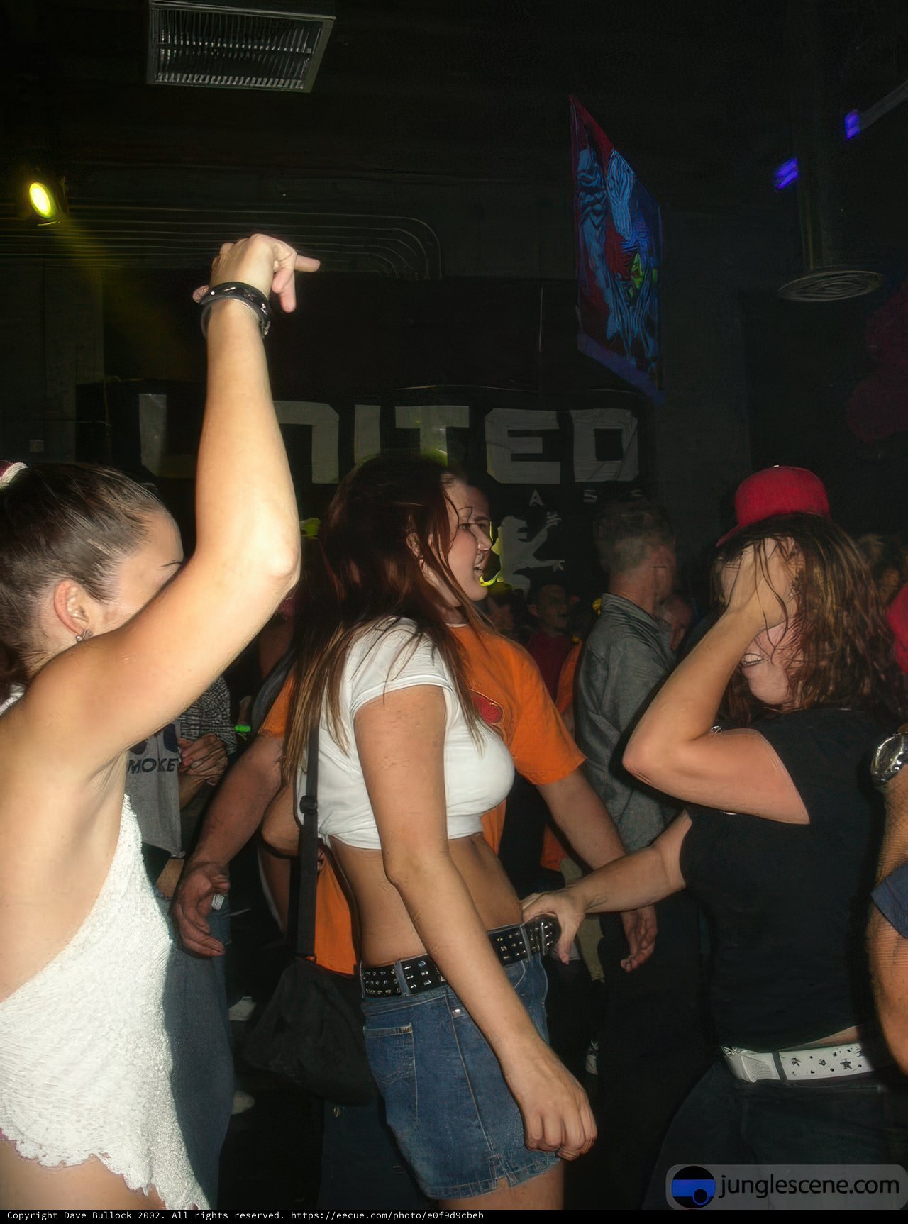 Nightclub Fun with Friends