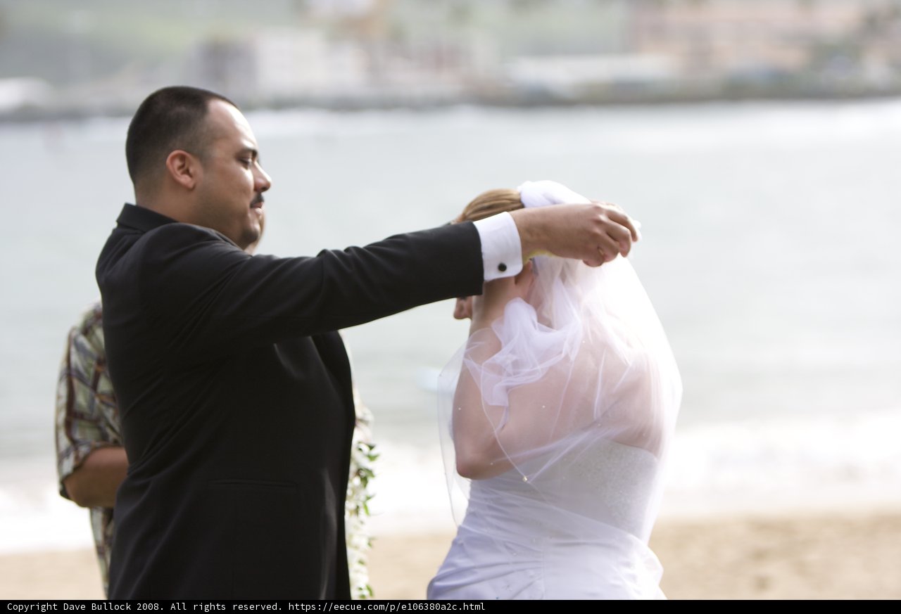 The Veiled Bride