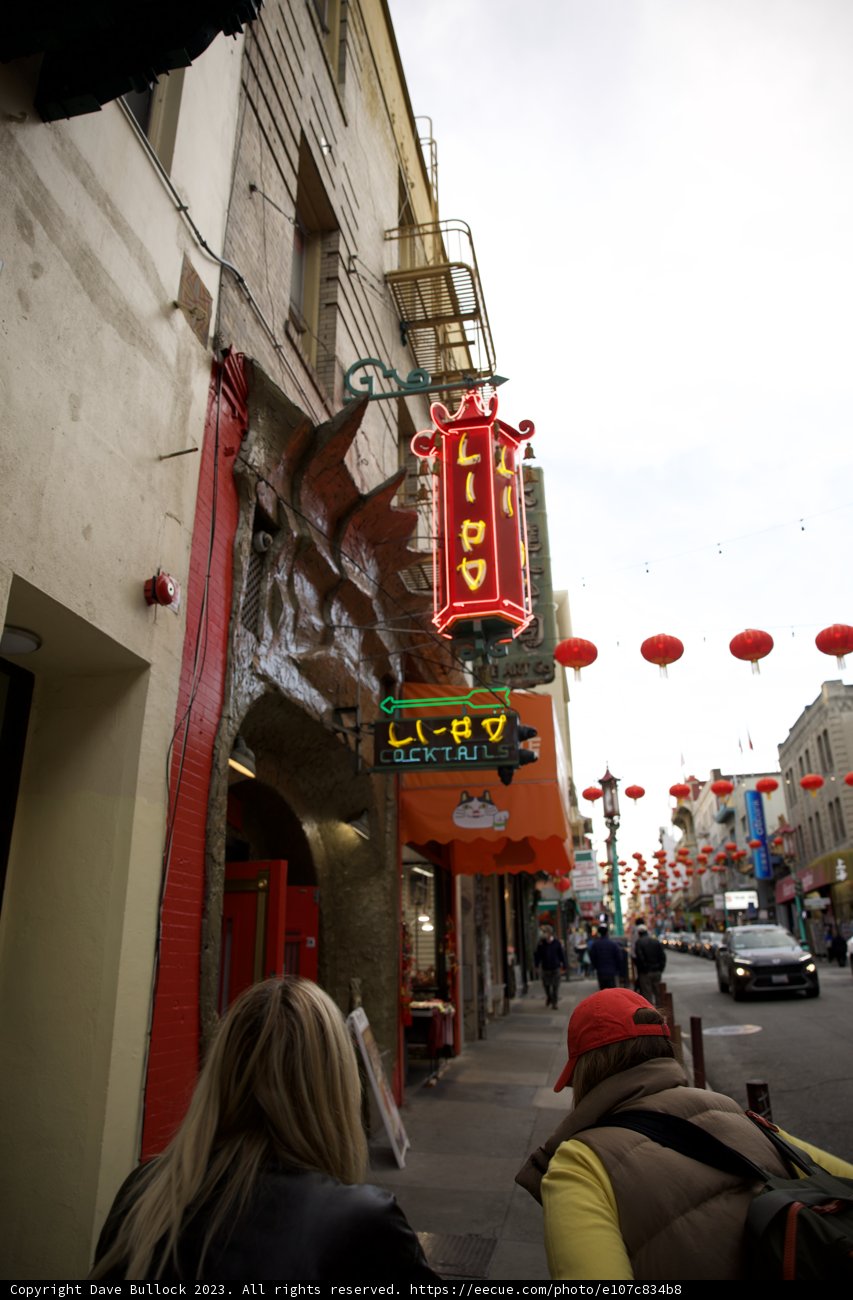 The Dazzling Life of Chinatown