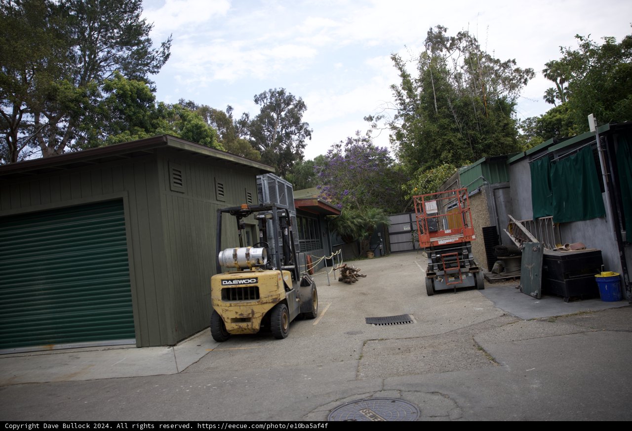Quiet Day at the Yard