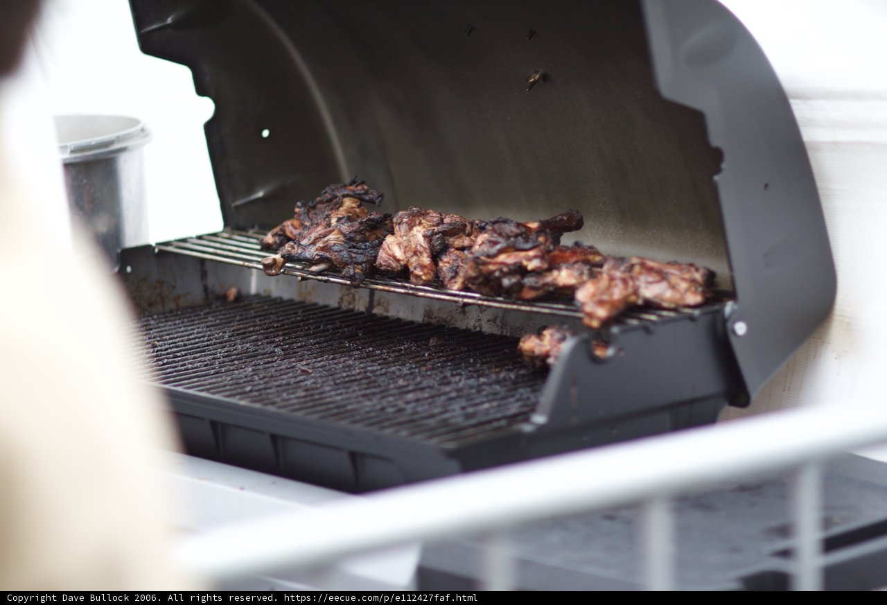 Sizzling BBQ Delight