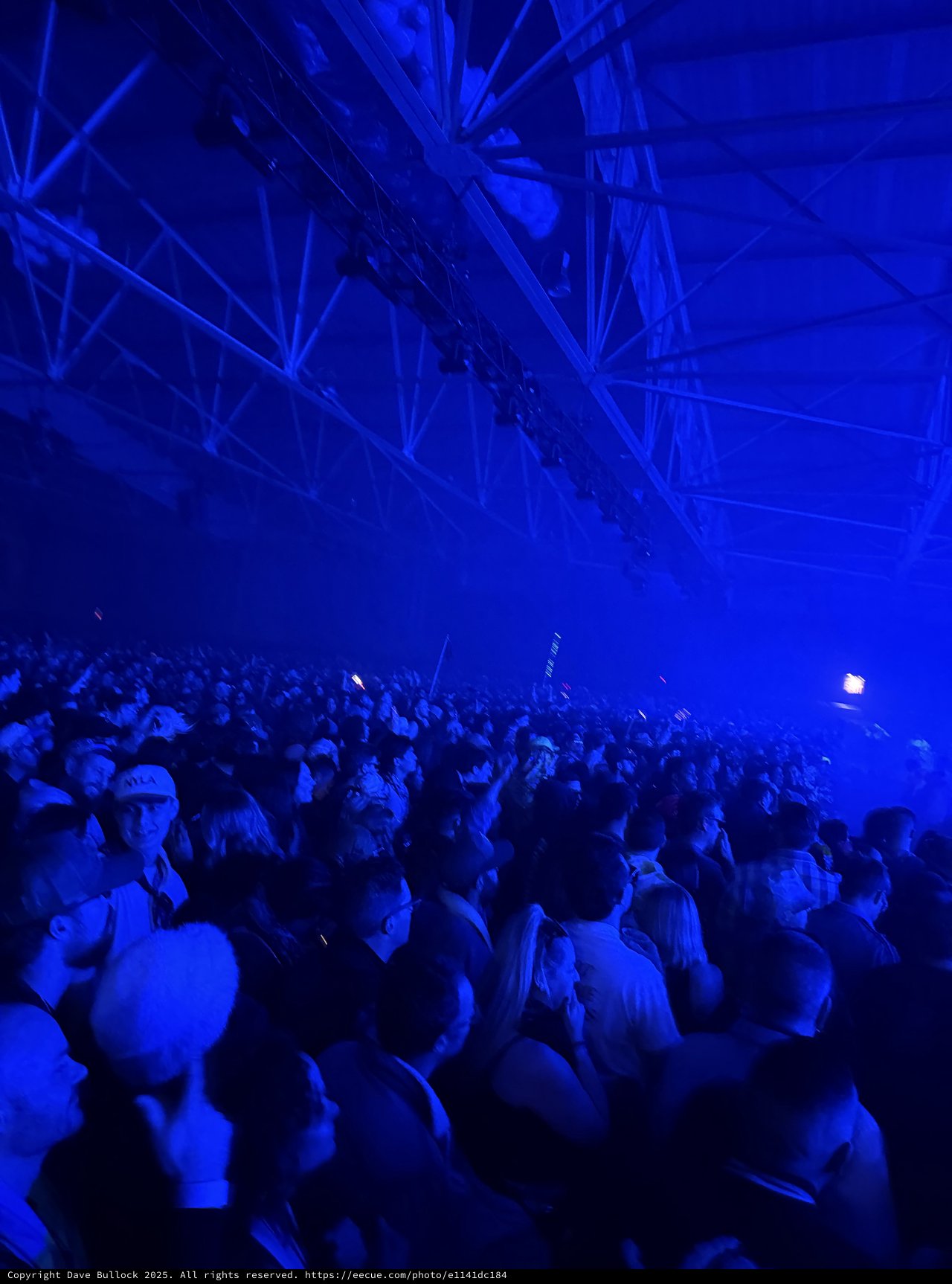 Blue-Lit Crowd at Electronic Music Concert