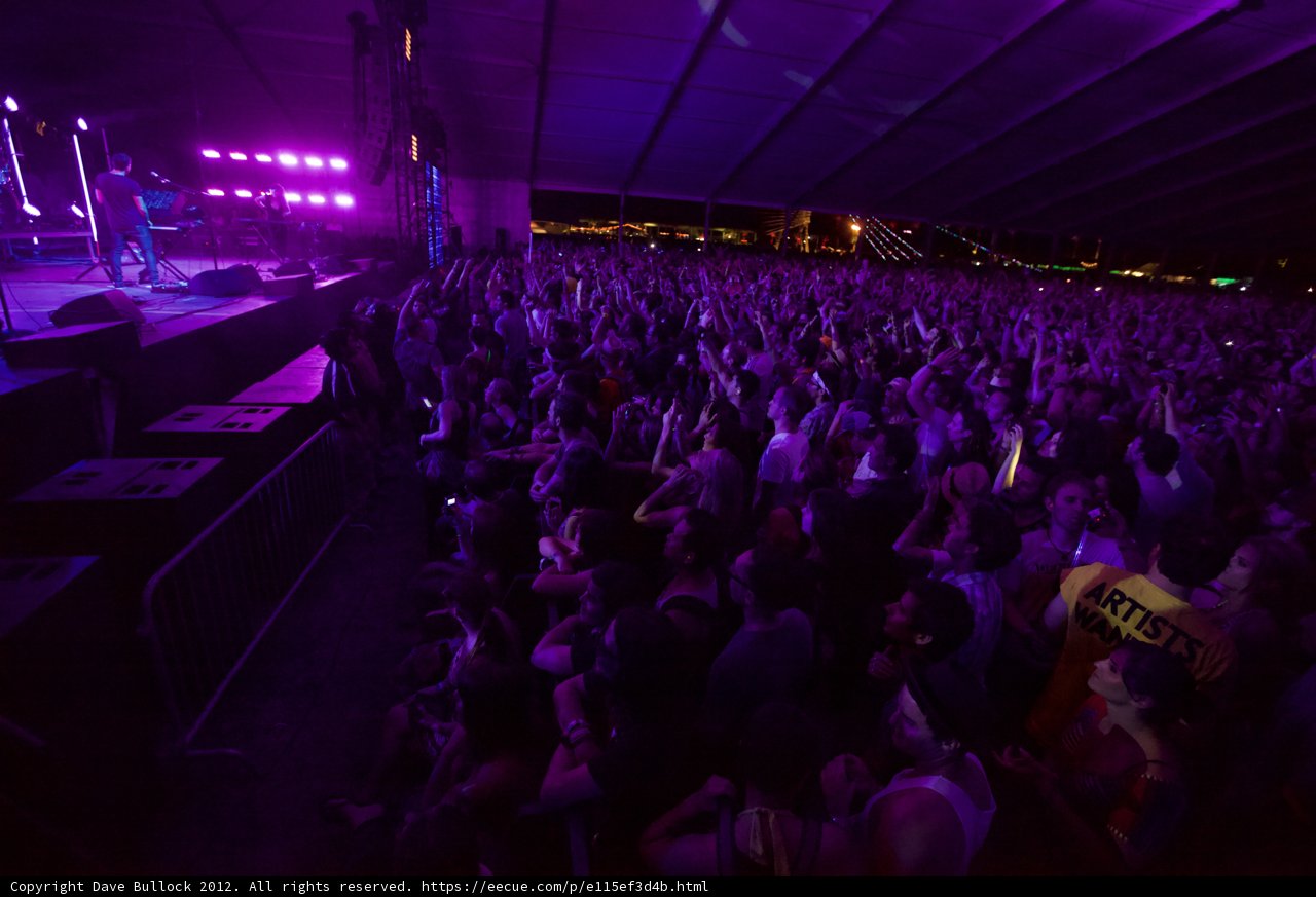 Purple Haze at Coachella