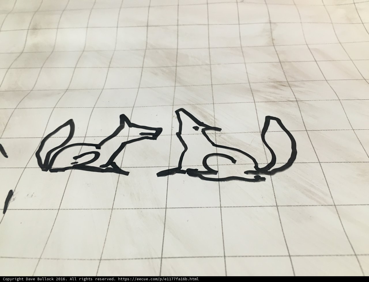 Inked Foxes