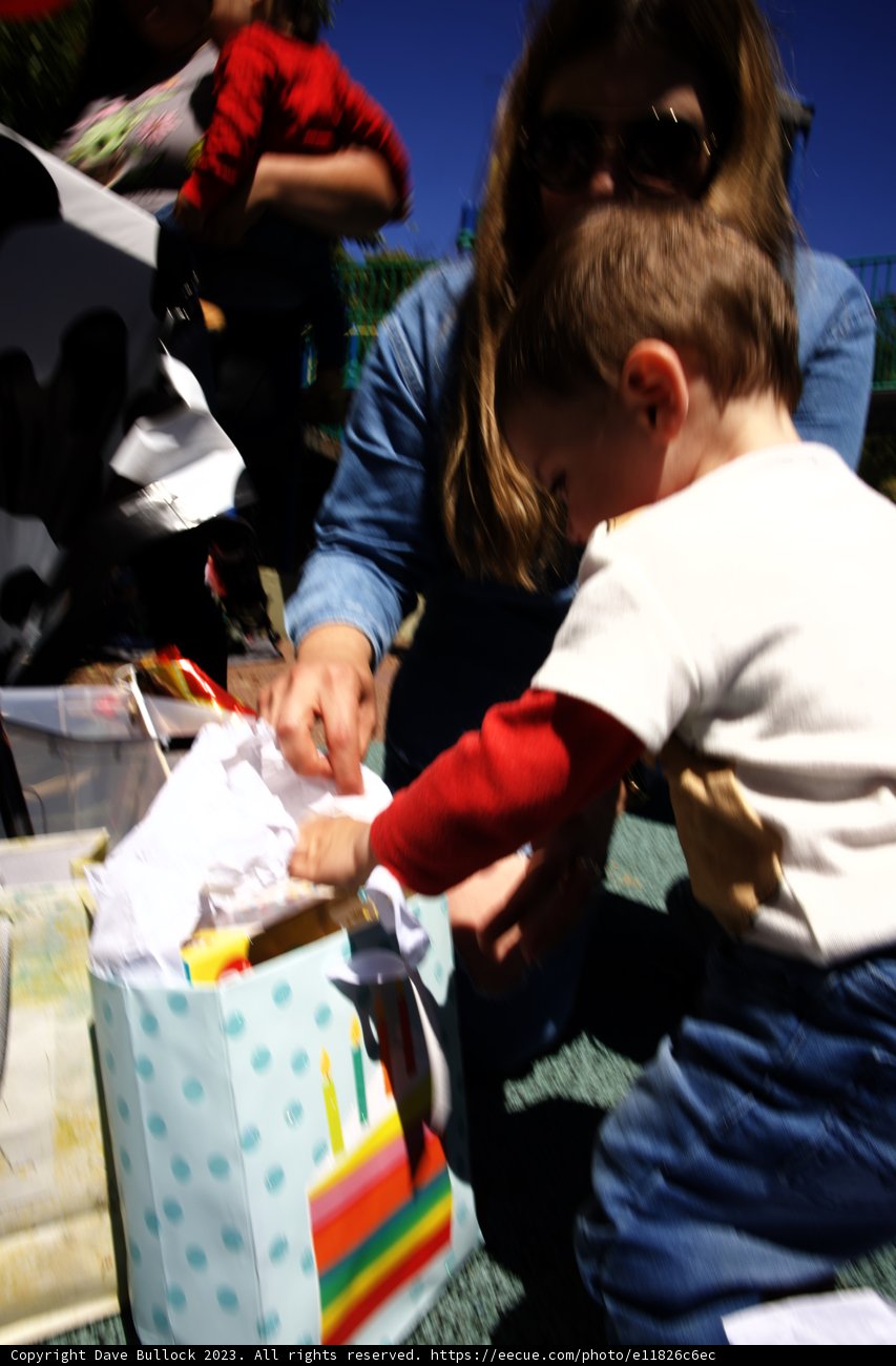 Celebrating Wesley's First Milestone Under the Blue Sky