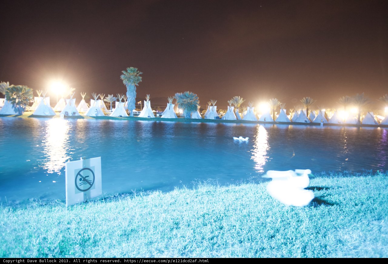 Nighttime Ducks in the Lagoon