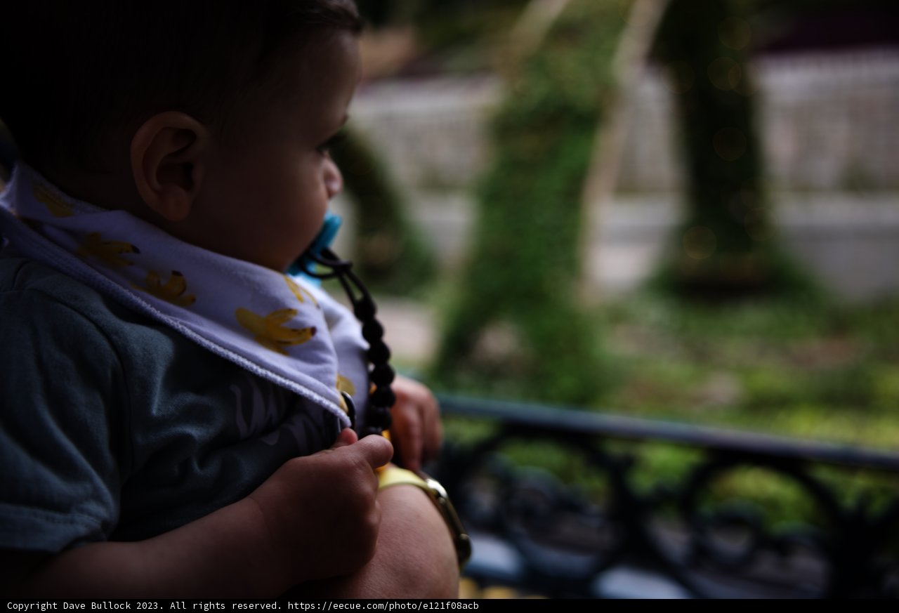 Adorable Birdie-Bib Baby Moment