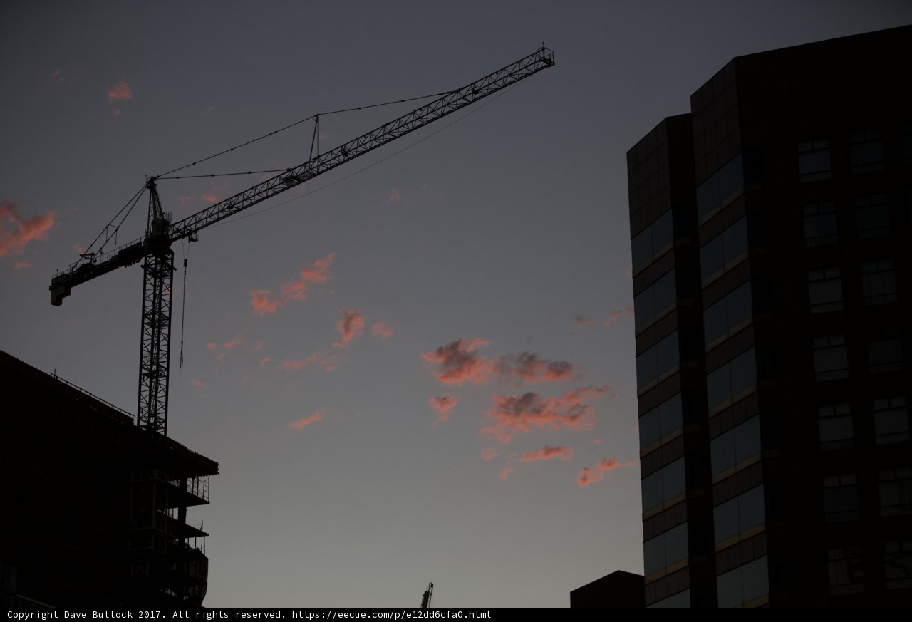 Towering Crane in the Setting Sun