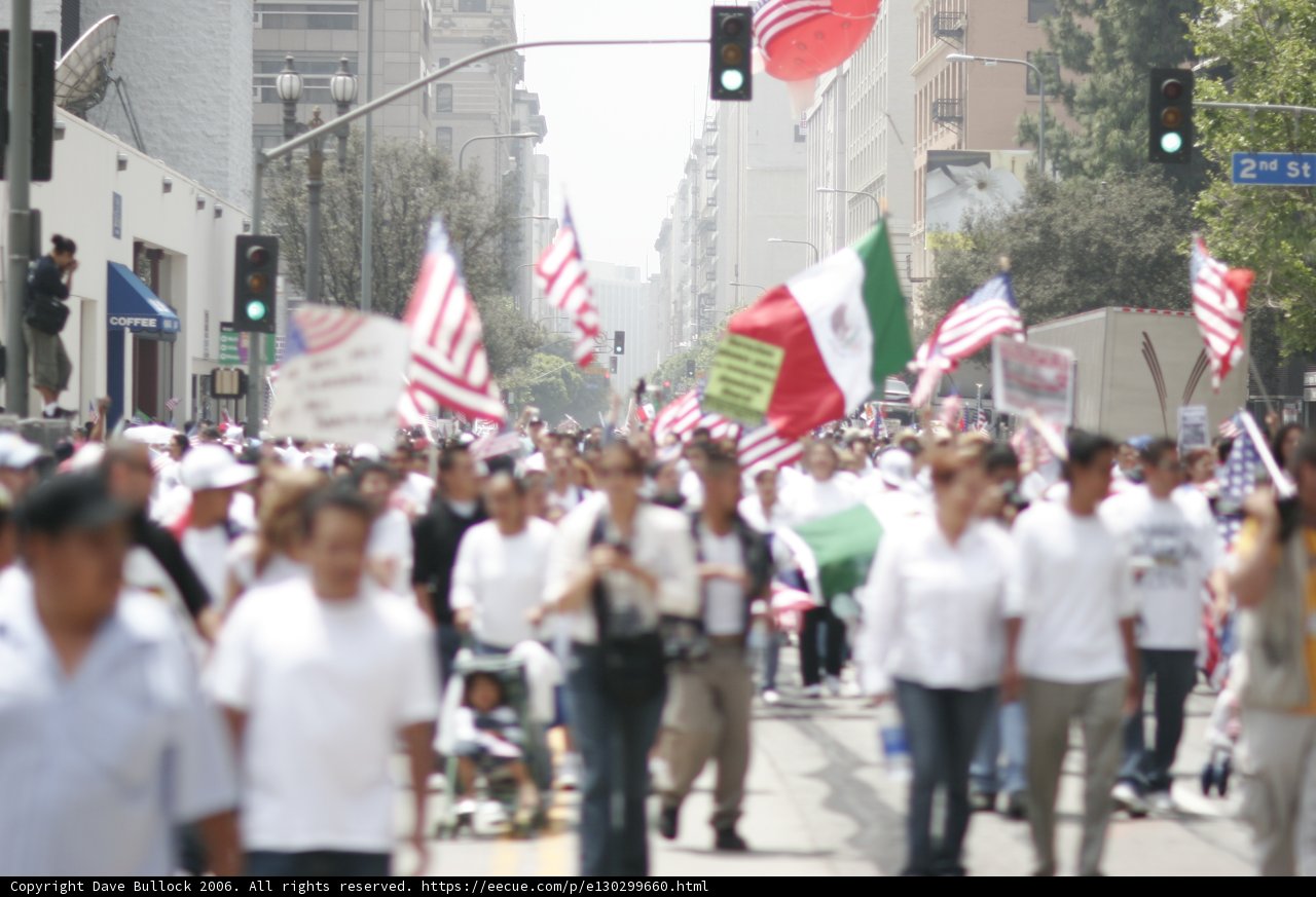 Flag March in the City