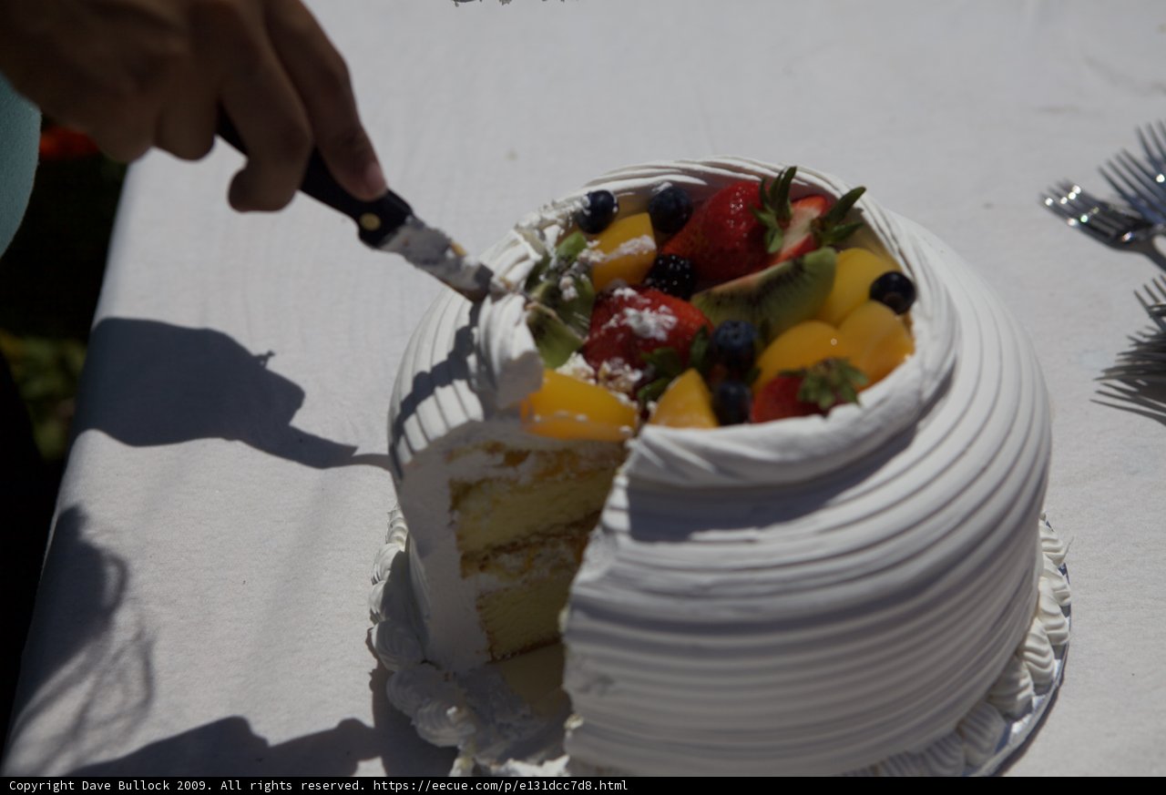 Cutting into the Wedding Cake
