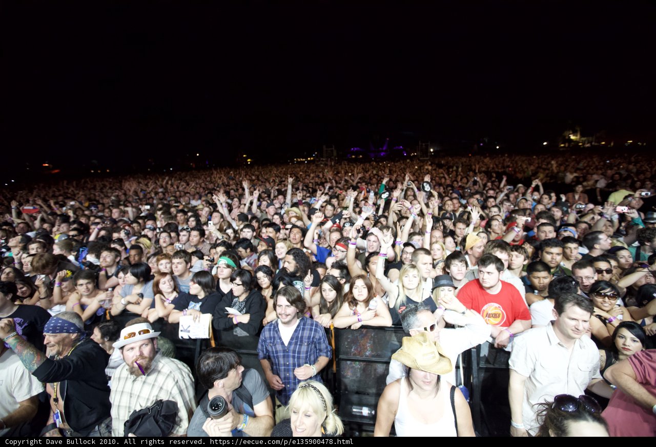 Electric Night Crowd