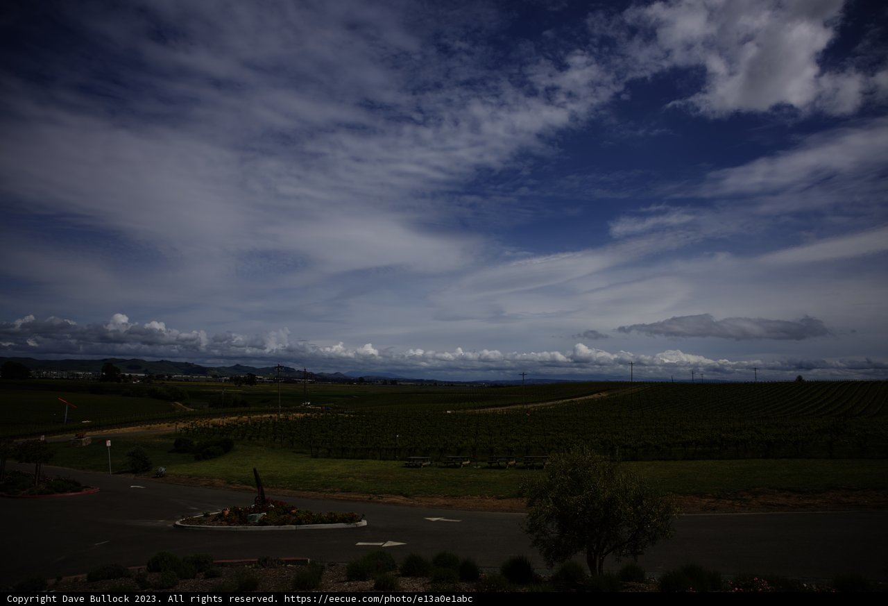 Enchanting Vineyard Vista