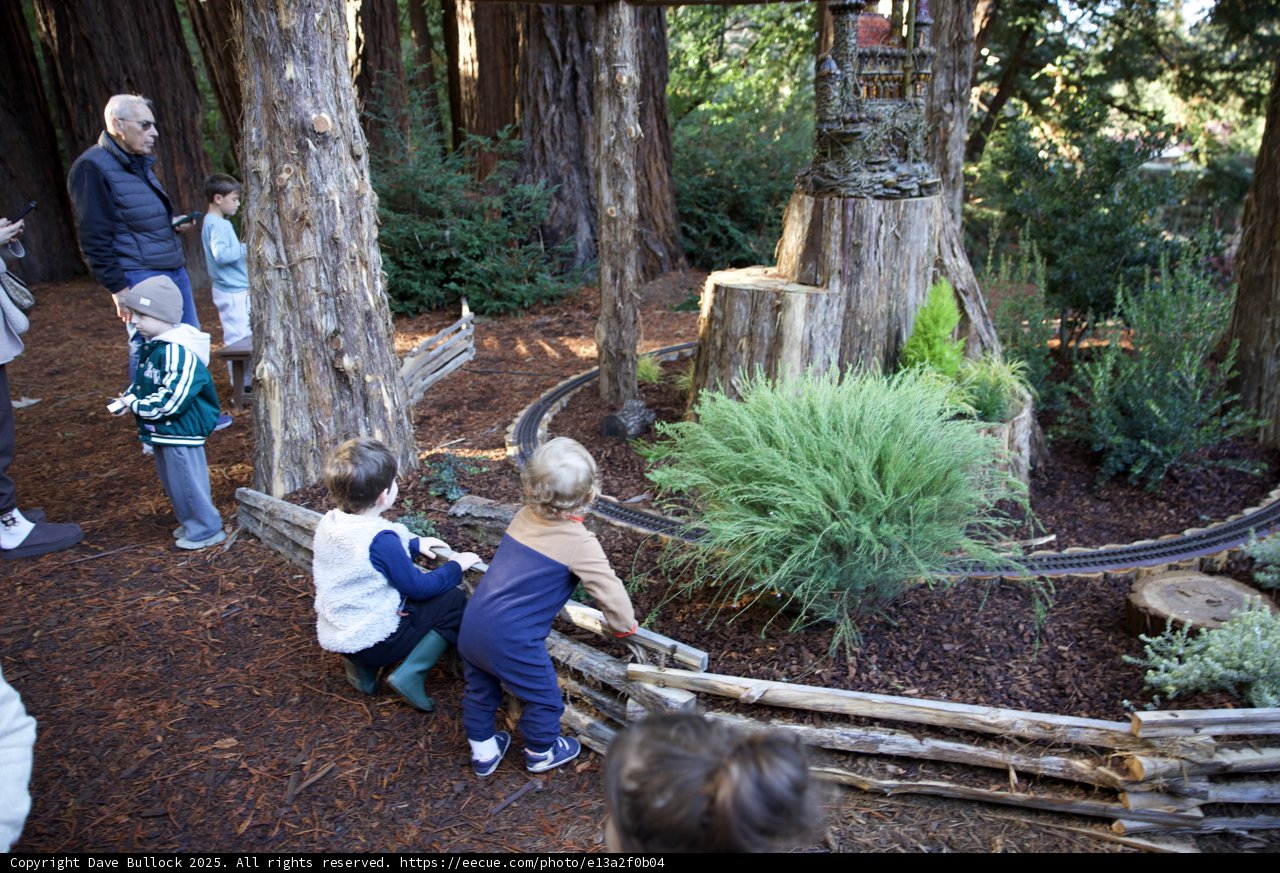 Enchanted Woodland Adventure at Thistlewyck