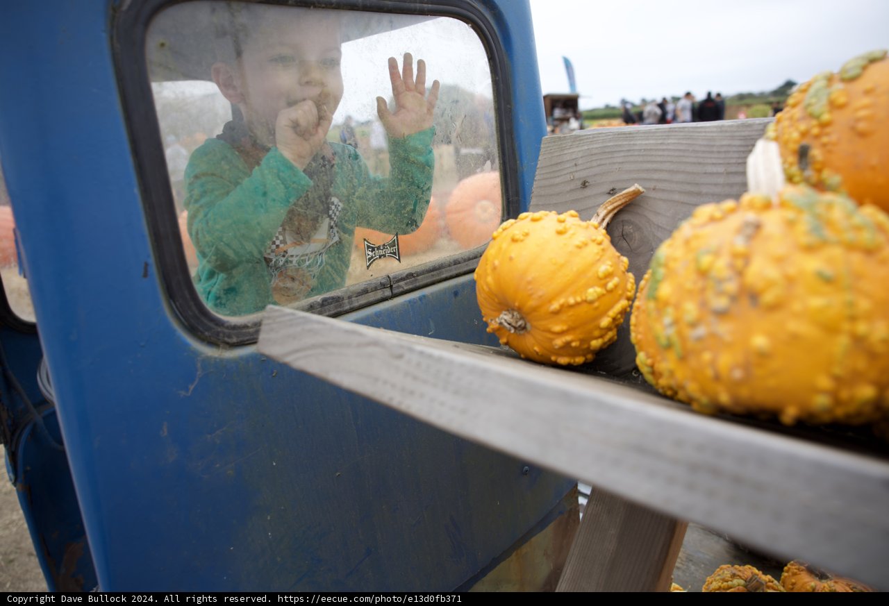 Harvest Joyride