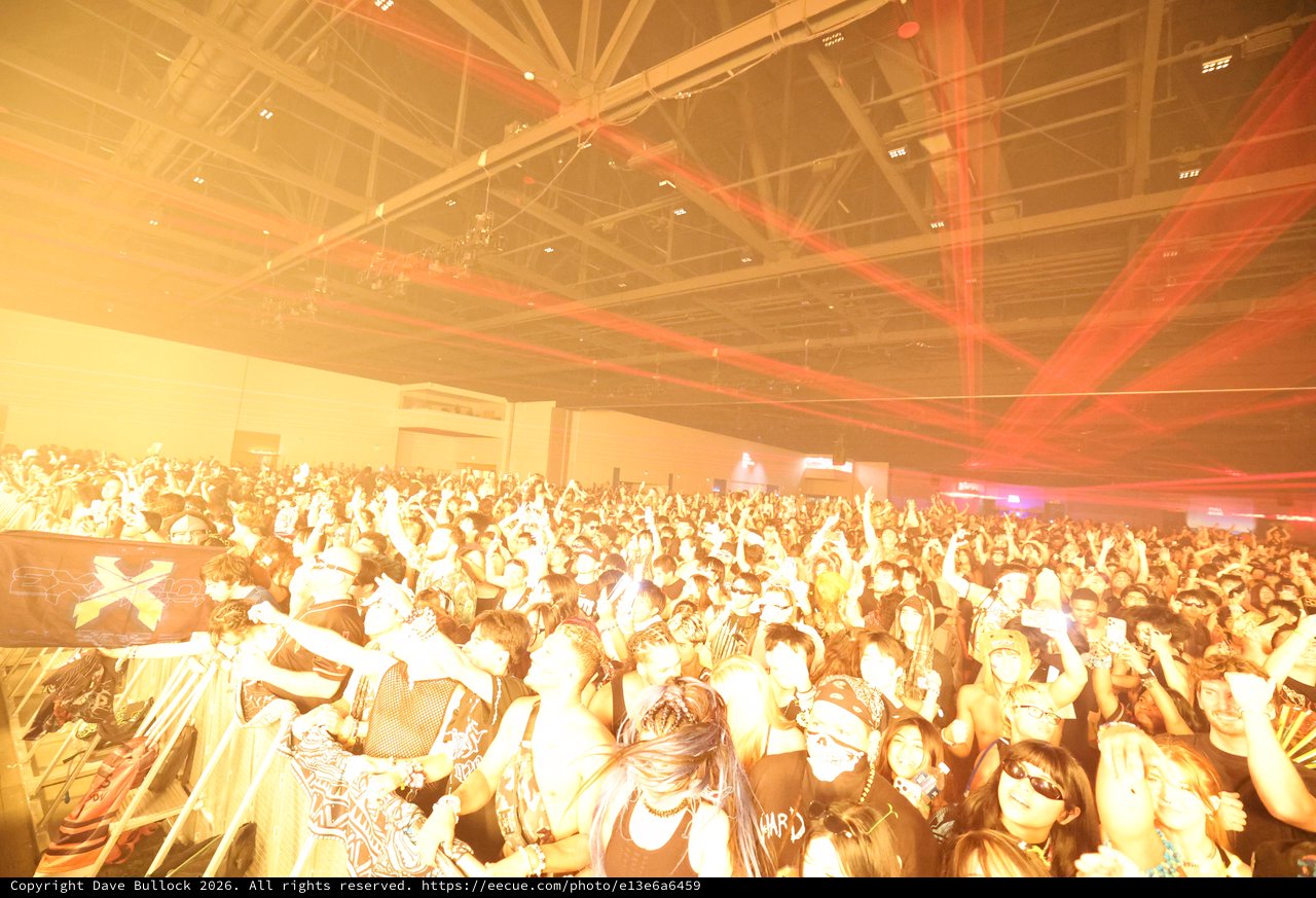 Massive Crowd Surges at Wobbleland 2026 Festival
