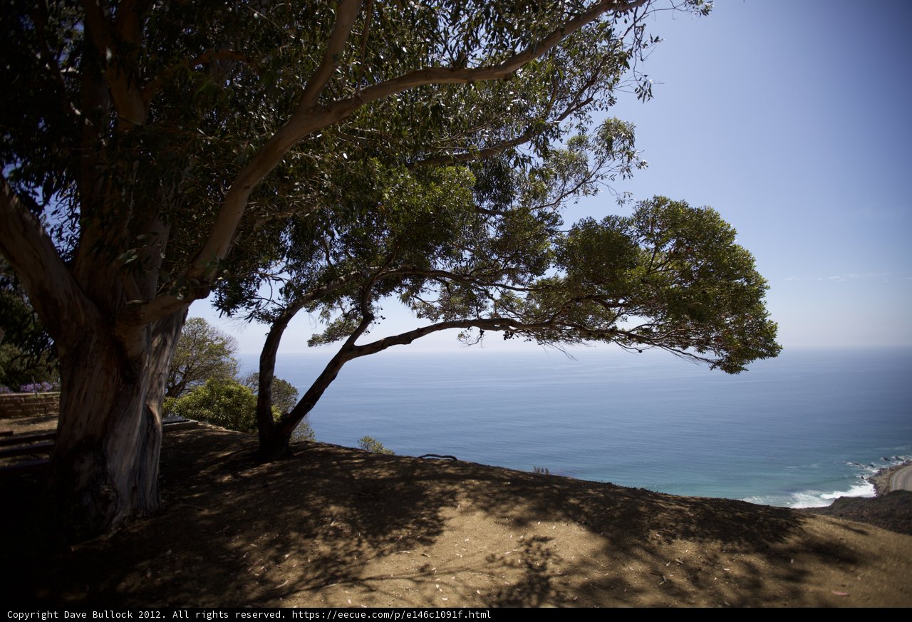 Solitude on the Promontory
