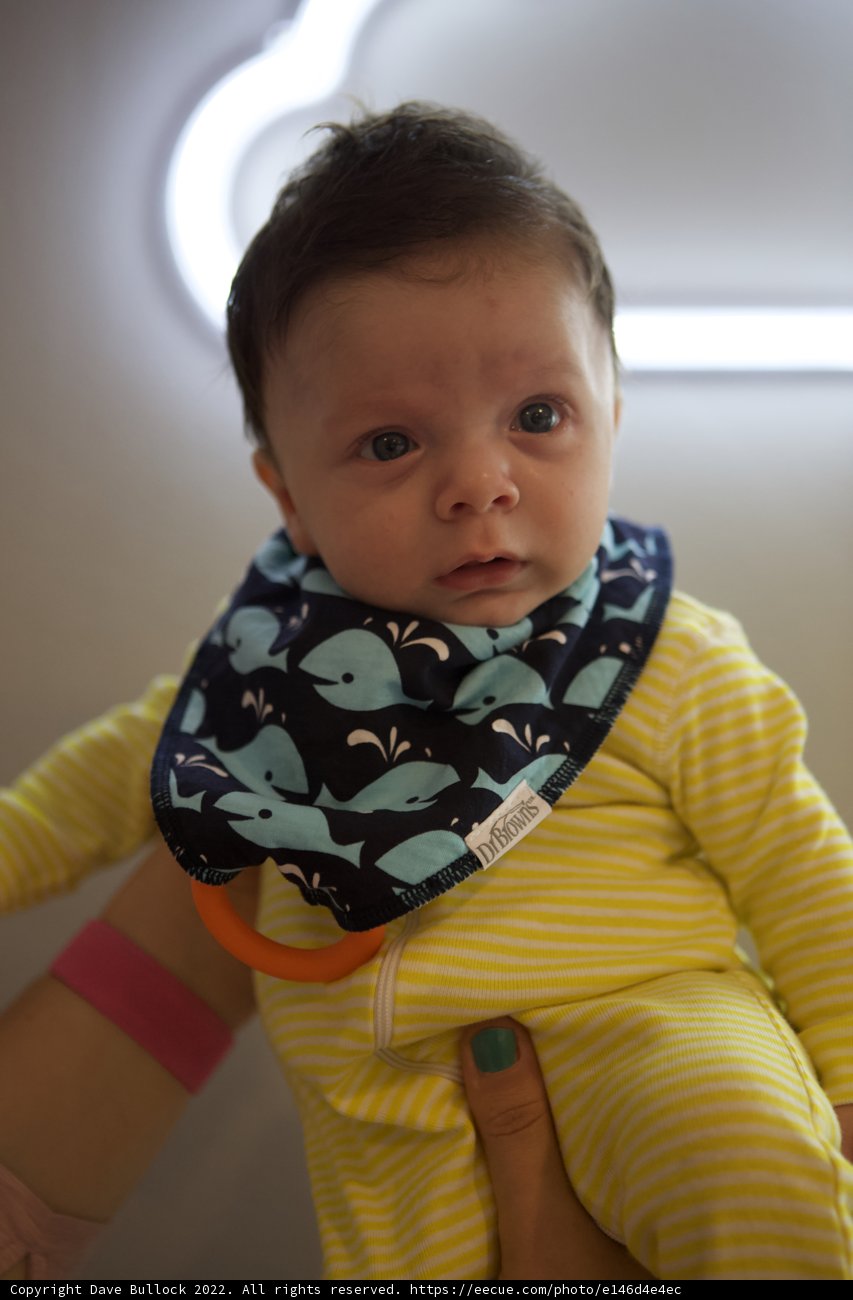 Wesley's Whimsical Whale Outfit