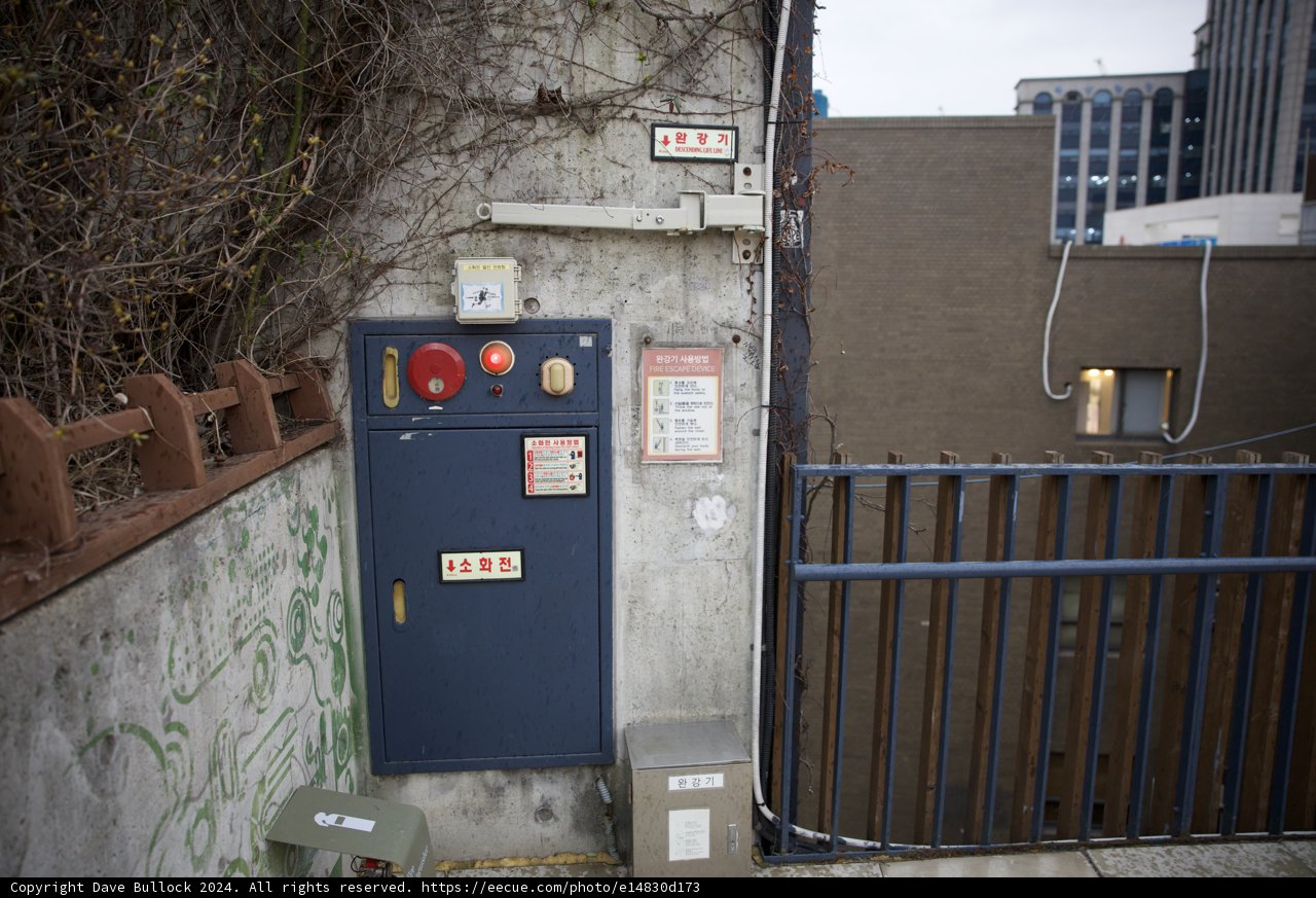 Urban Artistry Amidst Daily Life in Korea, 2024