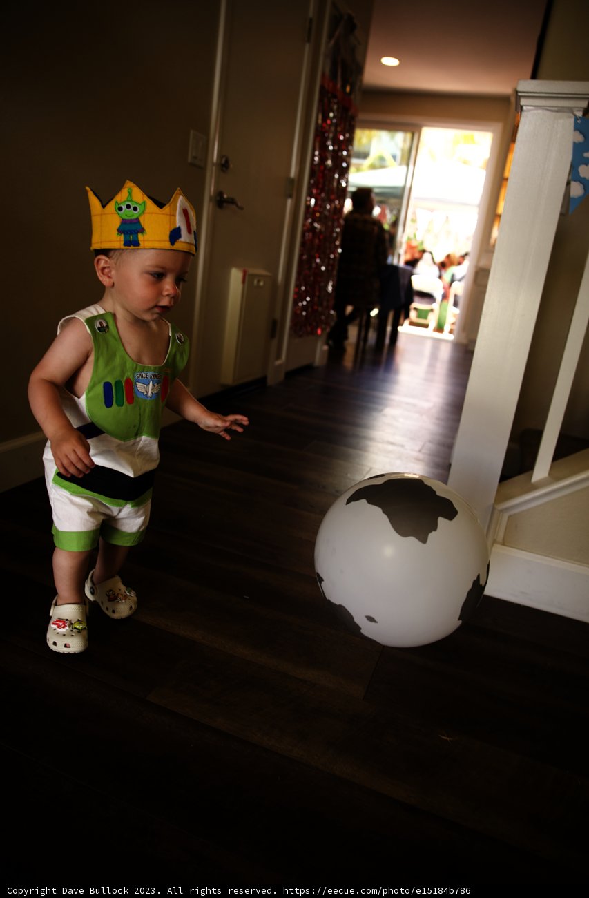 Royal Rampage at Wesley's First Birthday Bash